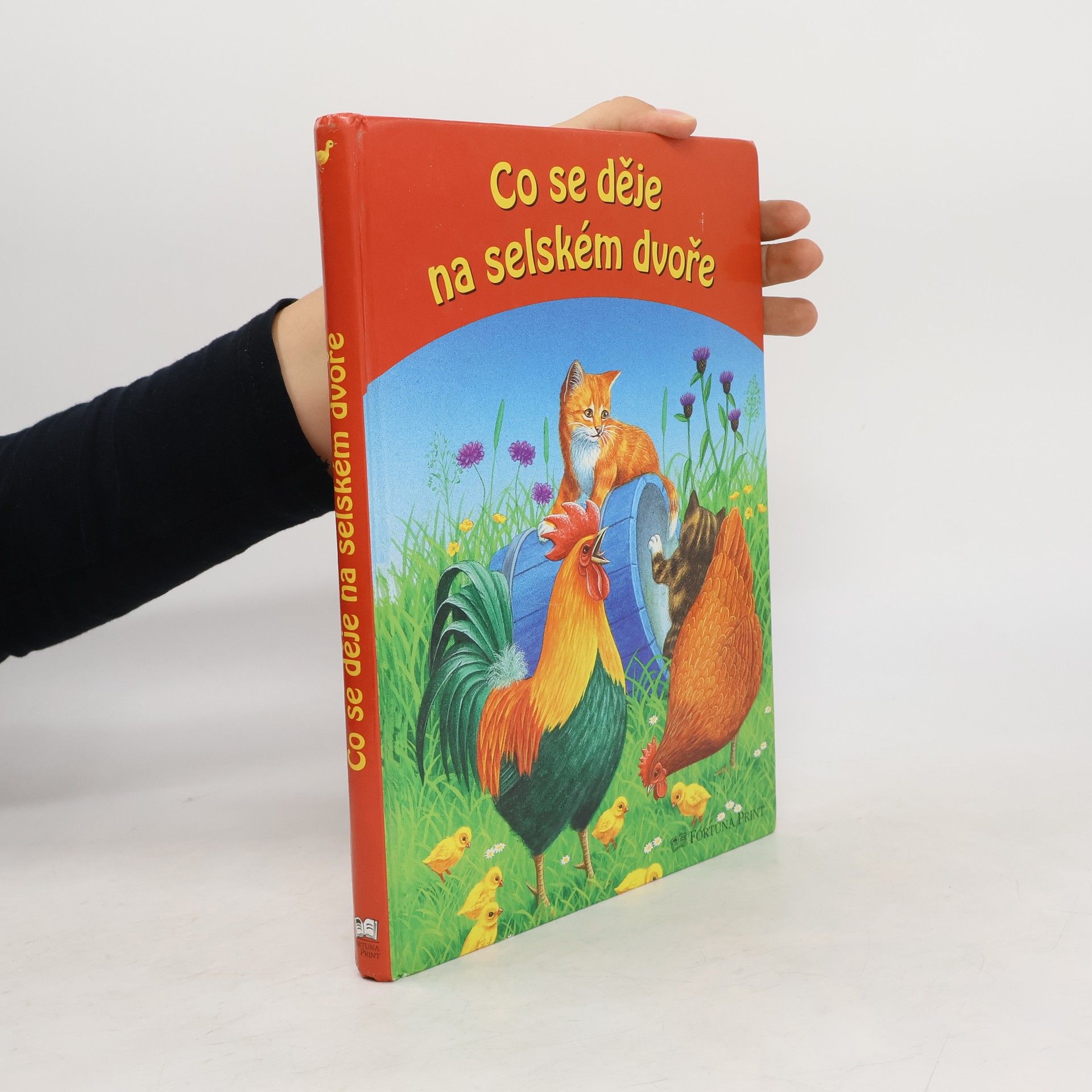 Collectif d'auteurs Co se děje na selském dvoře