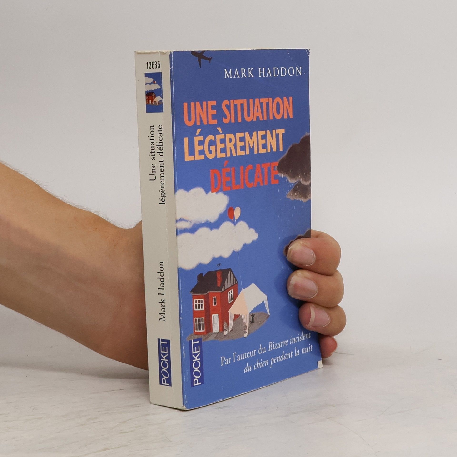 Mark Haddon Une Situation Legerement Delicate