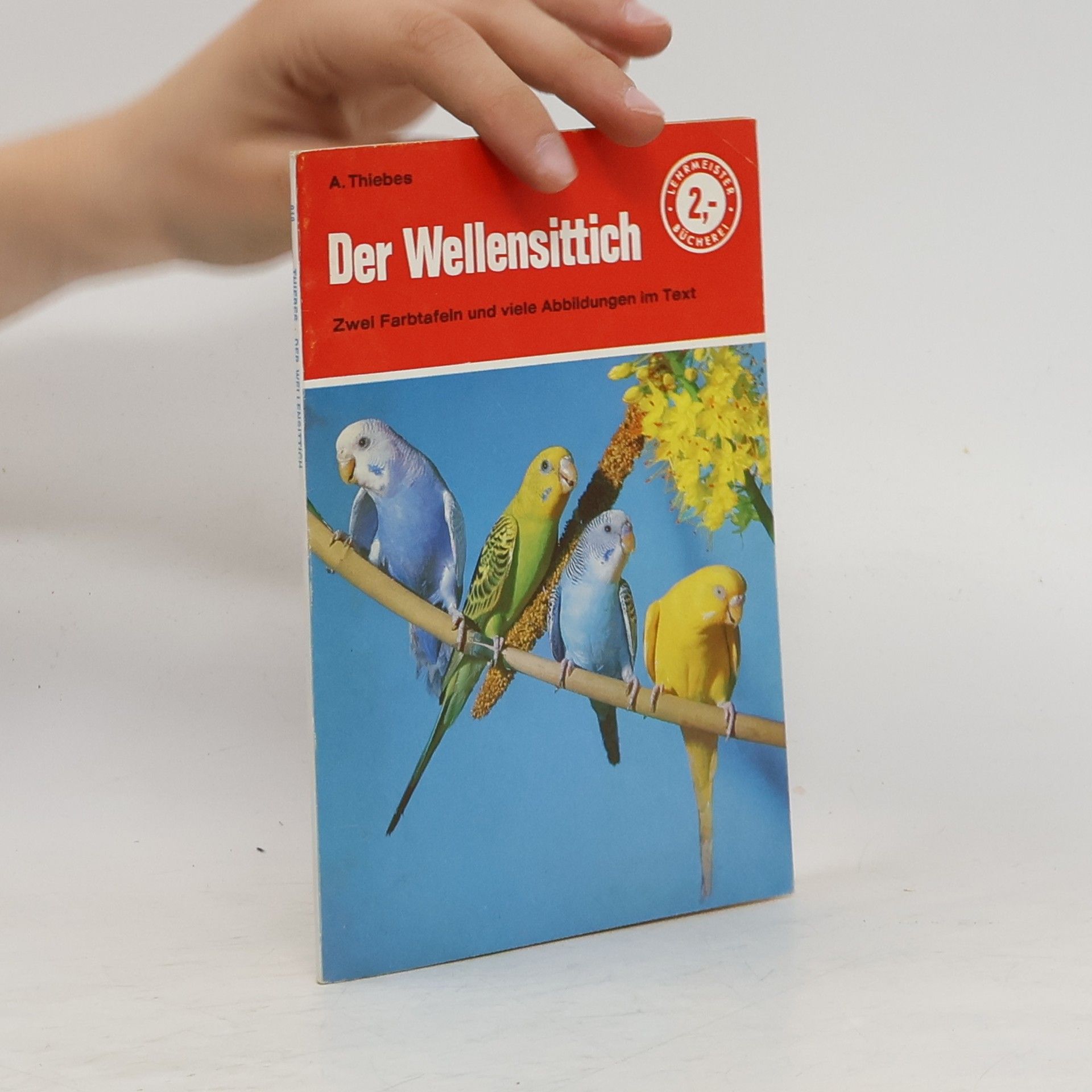 Albrecht Thiebes Der Wellensittich