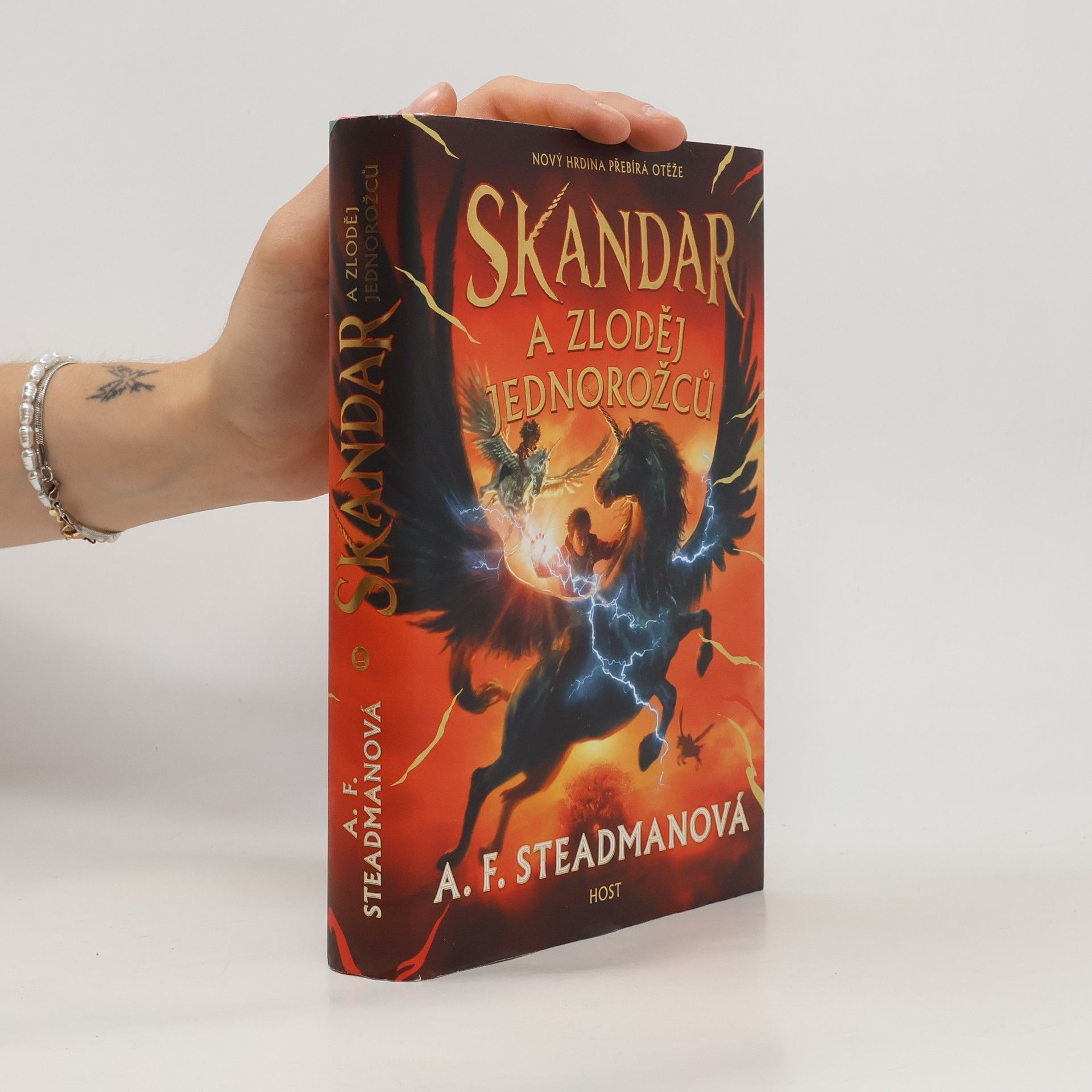 Daniela Orlando Skandar a zloděj jednorožců