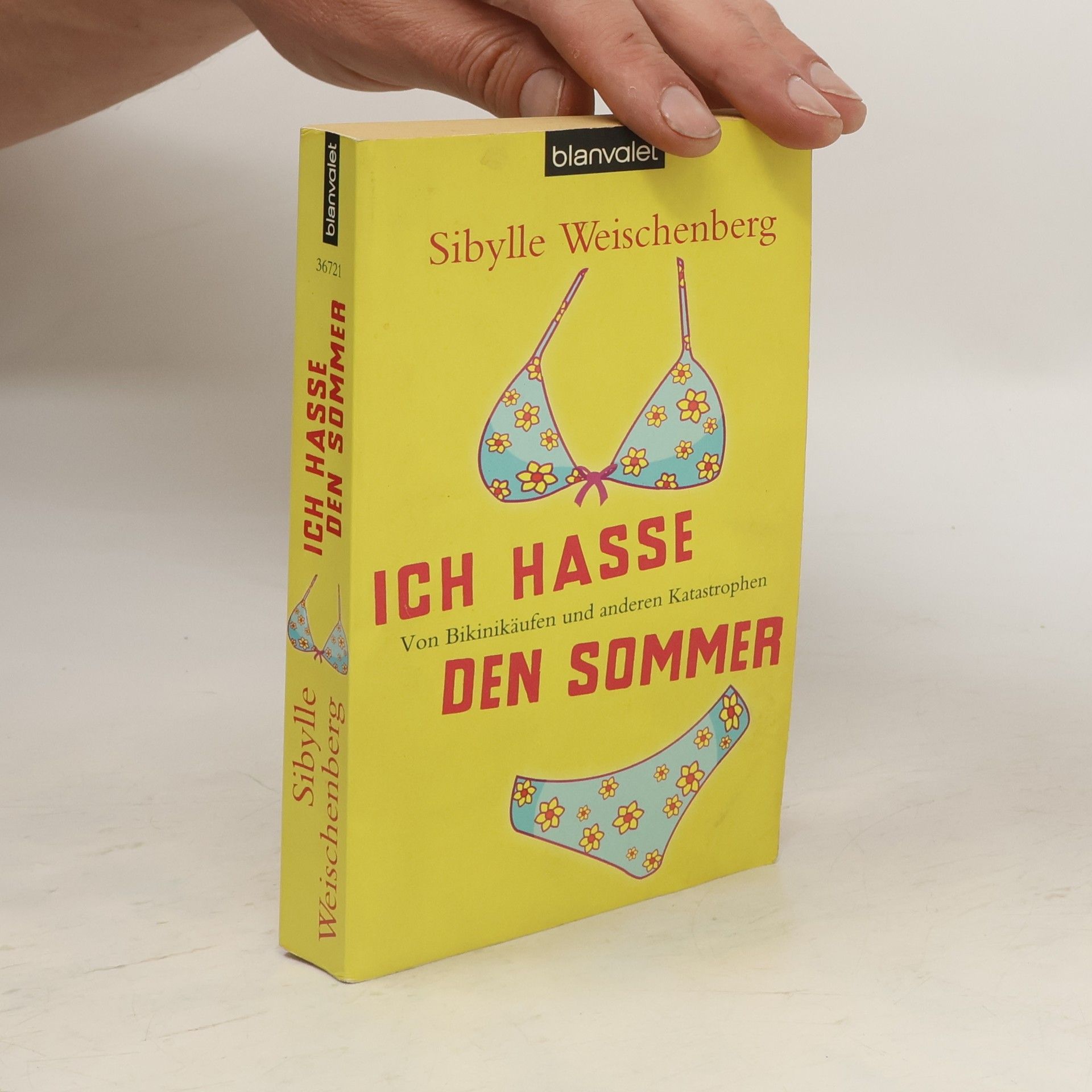 Sibylle Weischenberg Ich hasse den Sommer