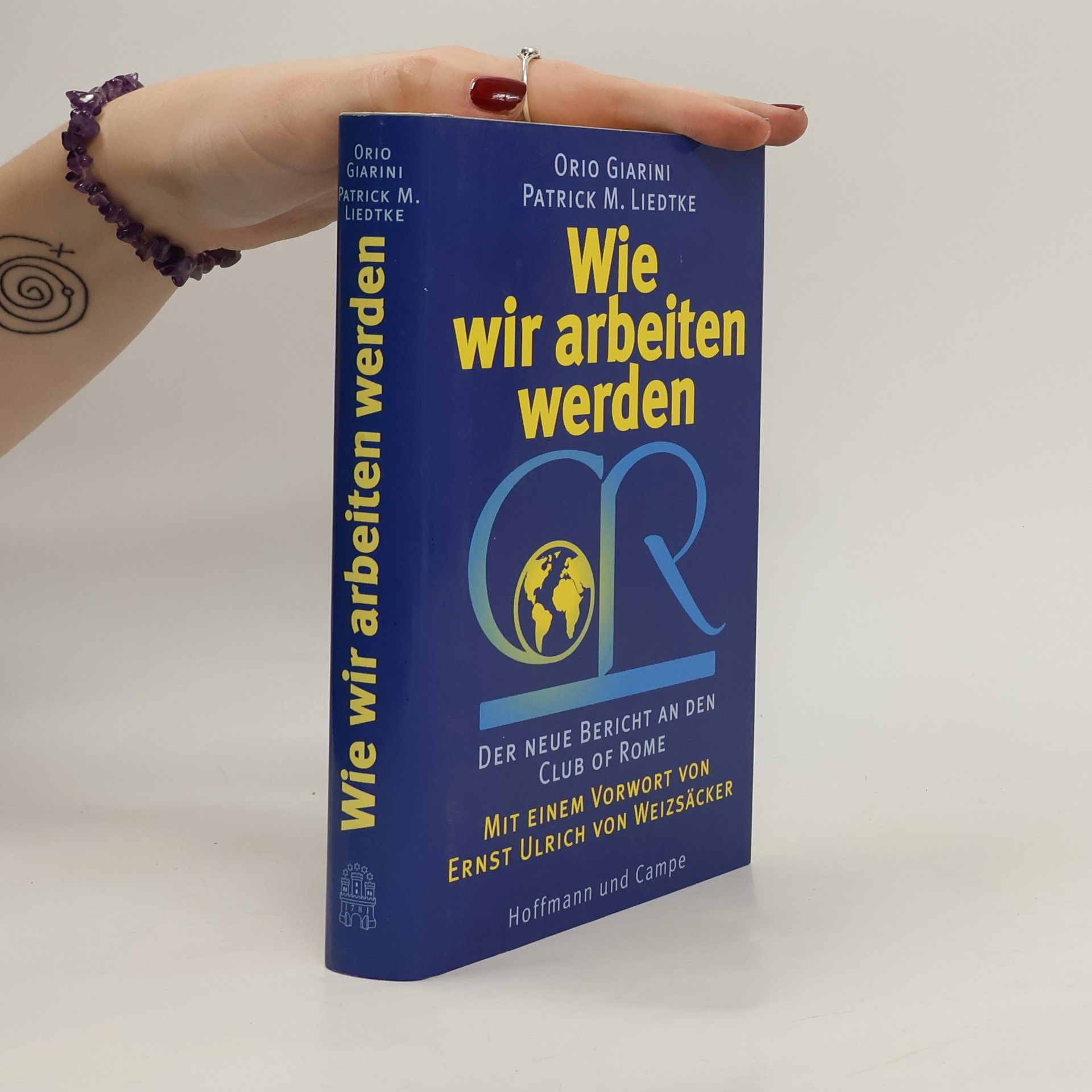 Orio Giarini Wie wir arbeiten werden