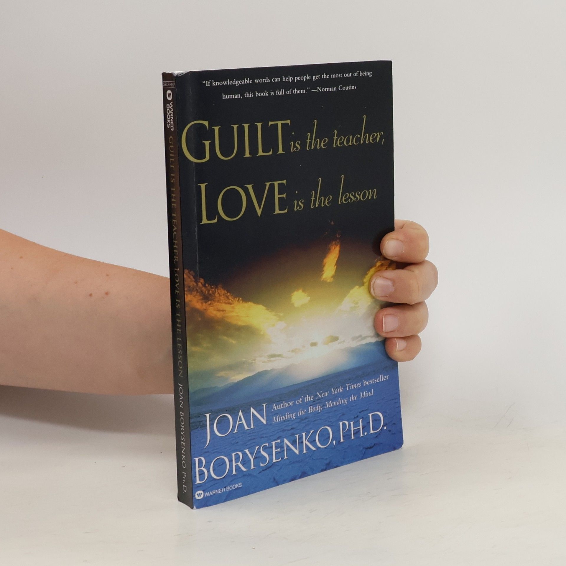 Joan Borysenko Guilt is the Teacher, Love is the Lesson