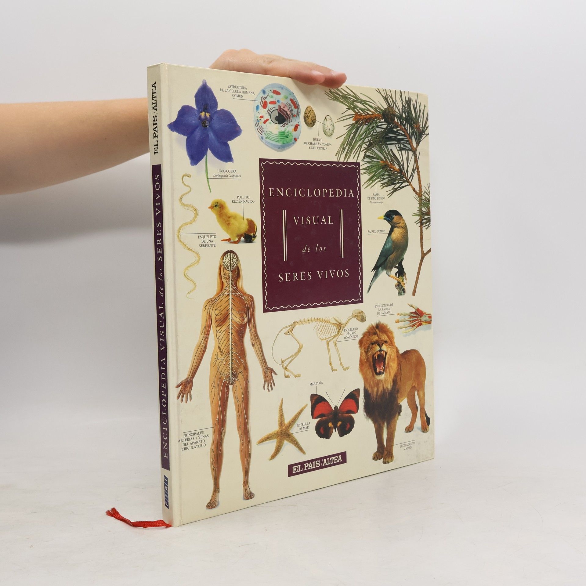 Various authors Enciclopedia visual de los seres vivos