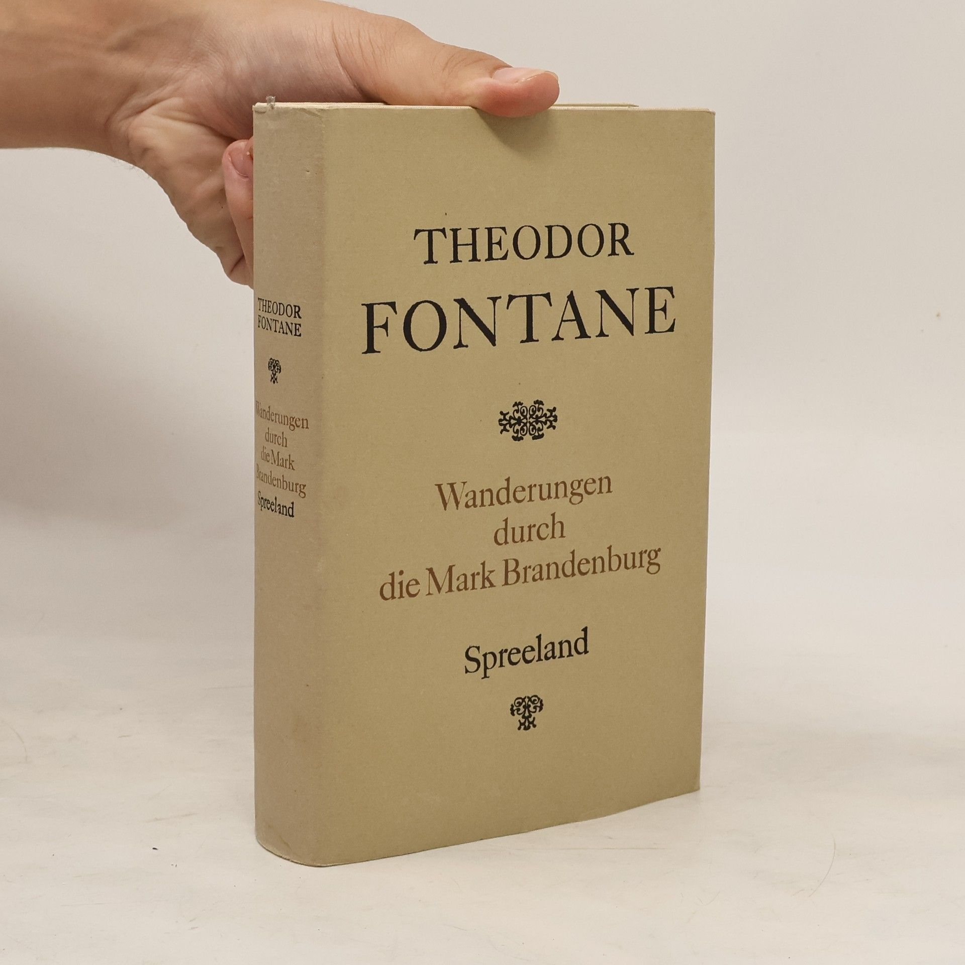 Theodor Fontane Wanderungen durch die Mark Brandenburg. Spreeland