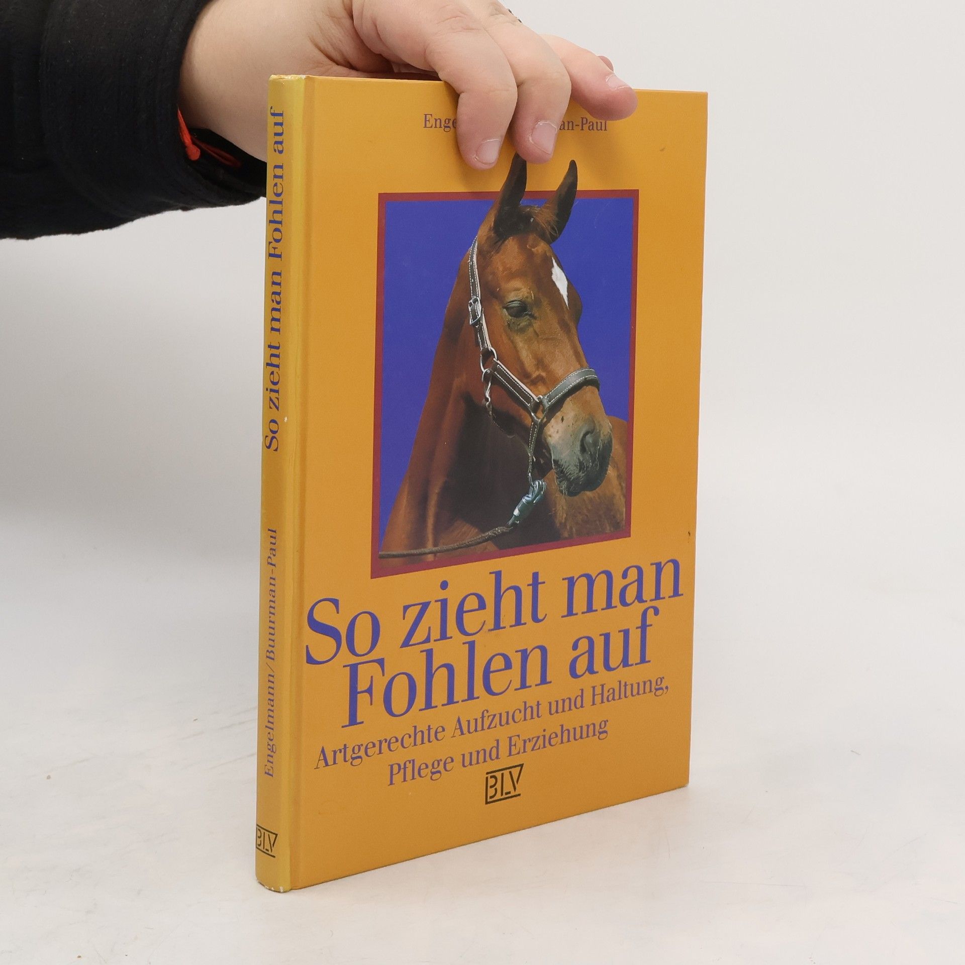 Uta Engelmann So zieht man Fohlen auf