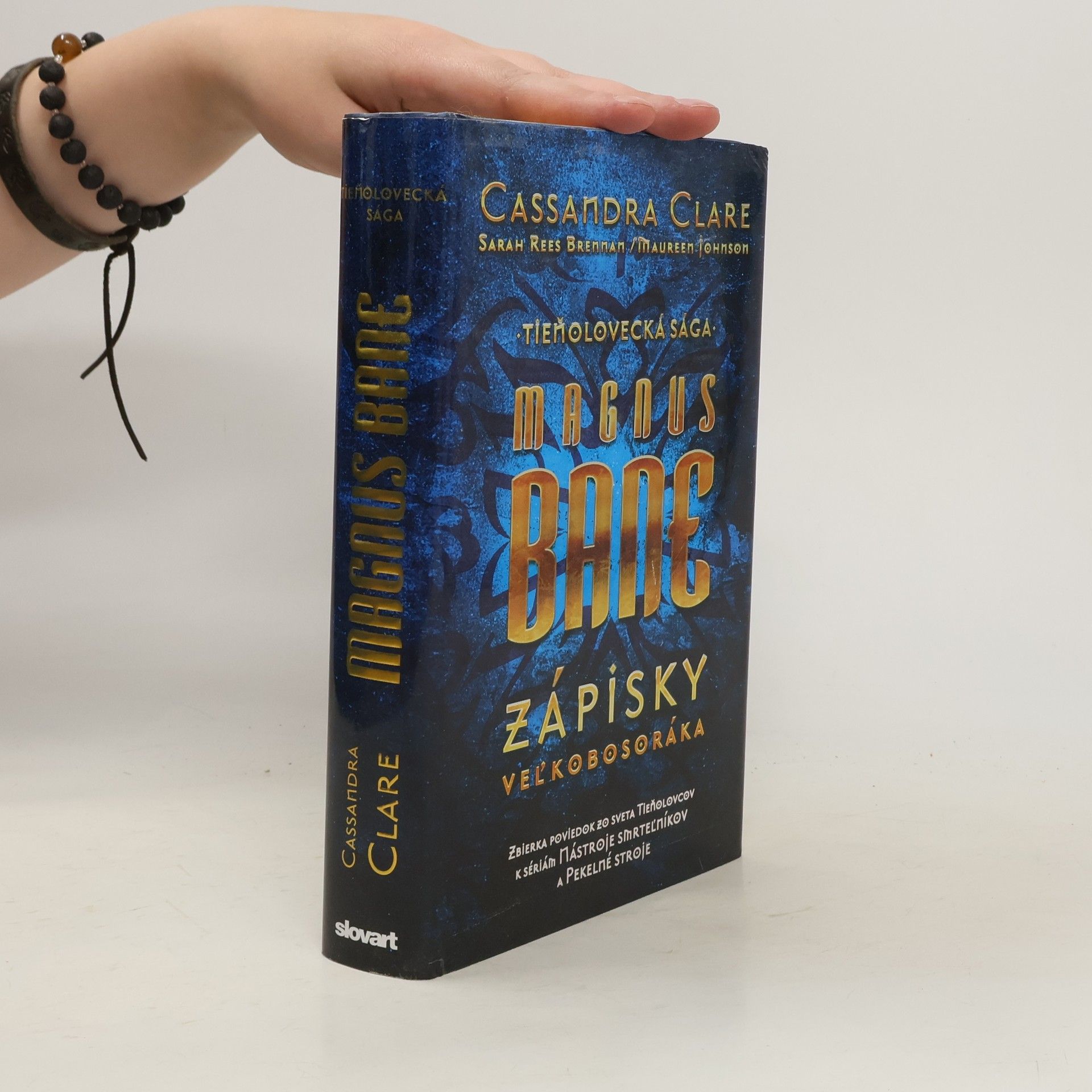 Cassandra Clare Magnus Bane  - Zápisky veľkobosoráka