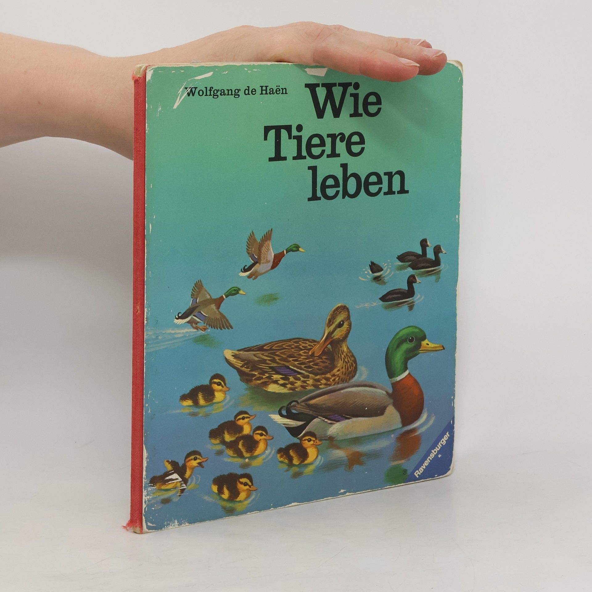 Wolfgang de Haen Wie Tiere leben