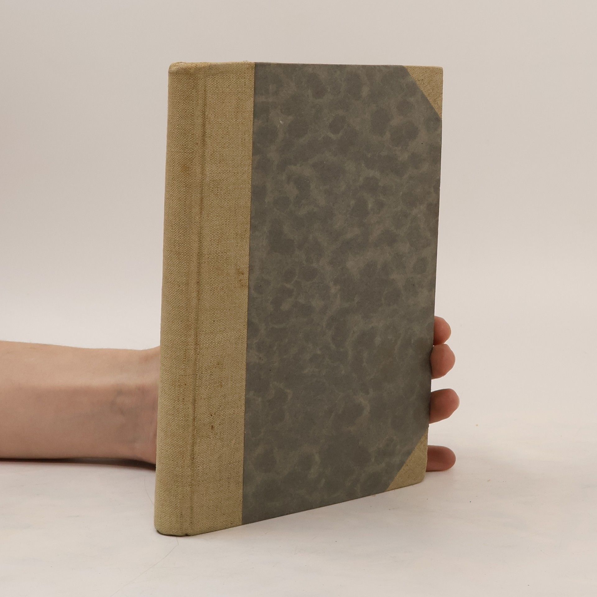 Fjodor Michajlovič Dostojevskij Idiot II