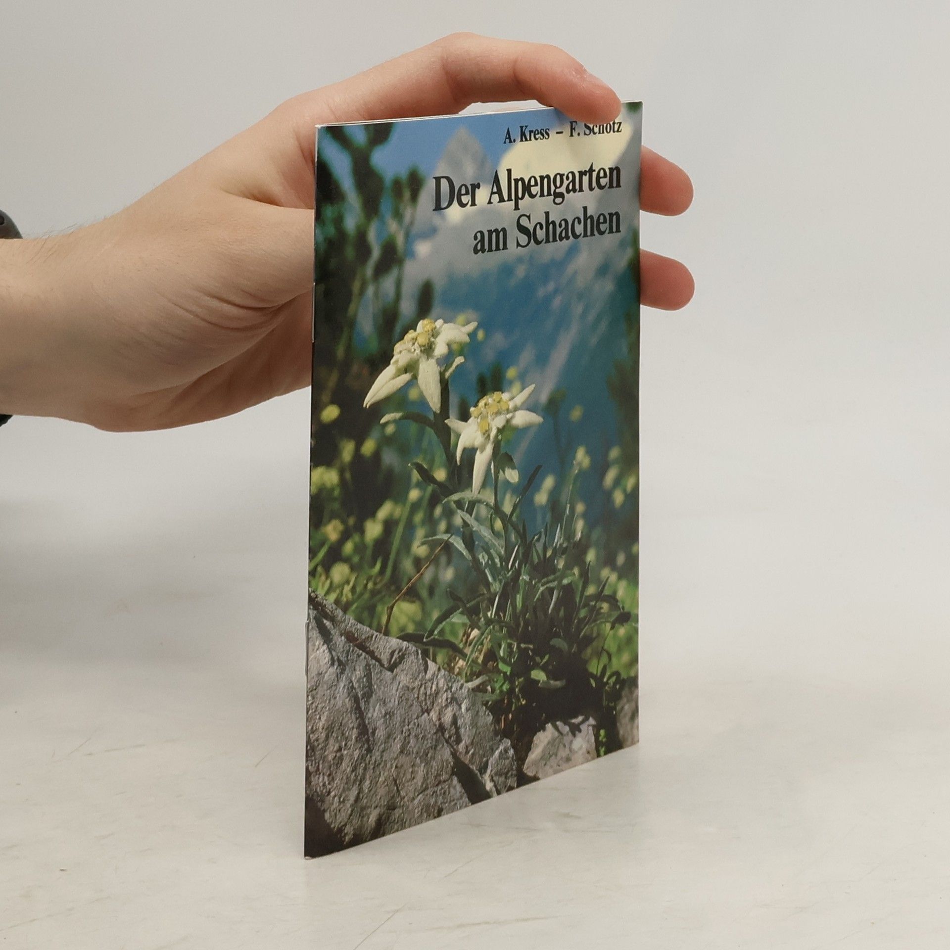 Der Alpengarten am Schachen