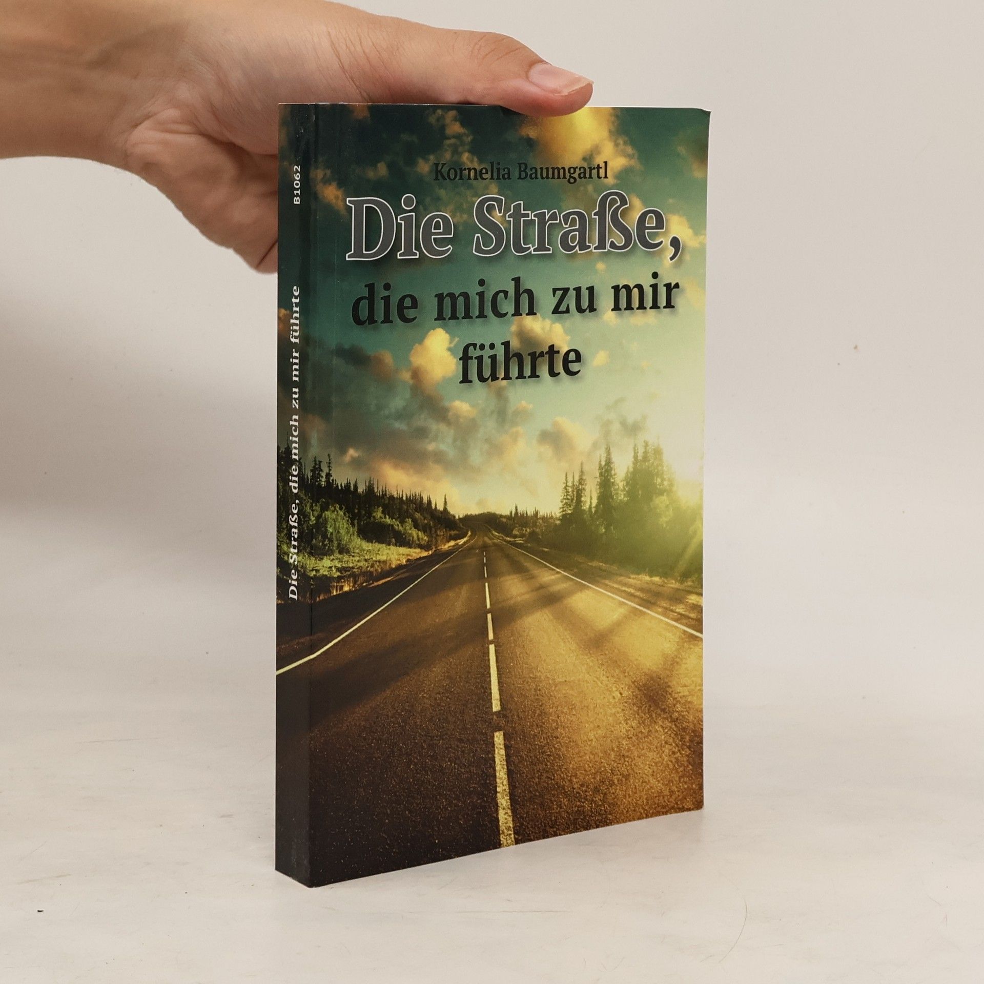 Kornelia Baumgartl Die Straße, die mich zu mir führte