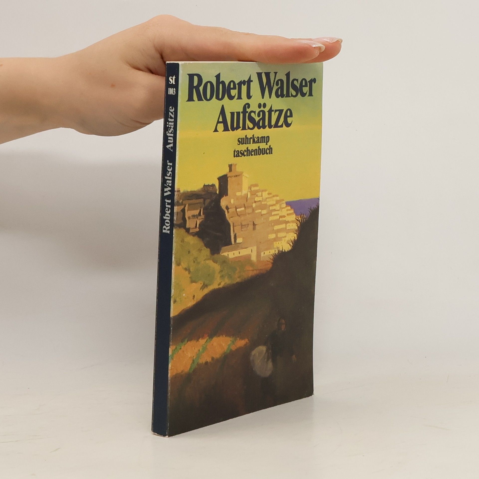 Robert Walser Aufsätze