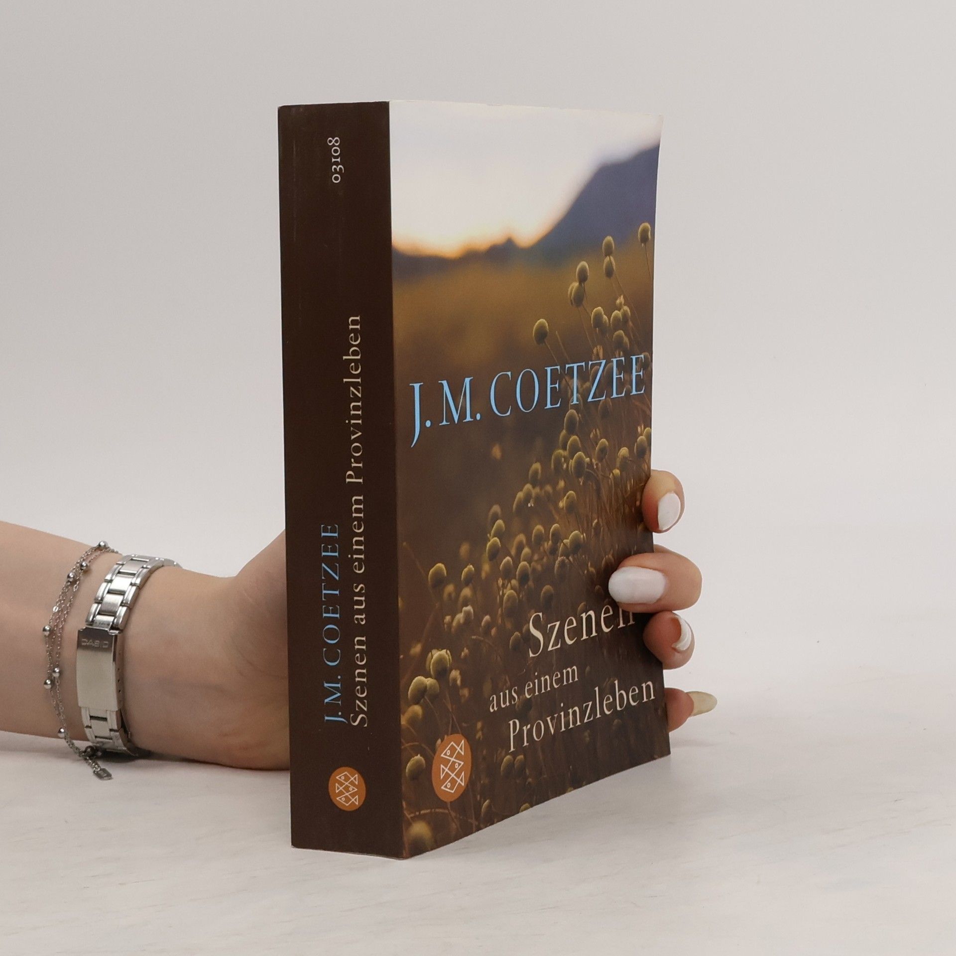 John Maxwell Coetzee Szenen aus einem Provinzleben