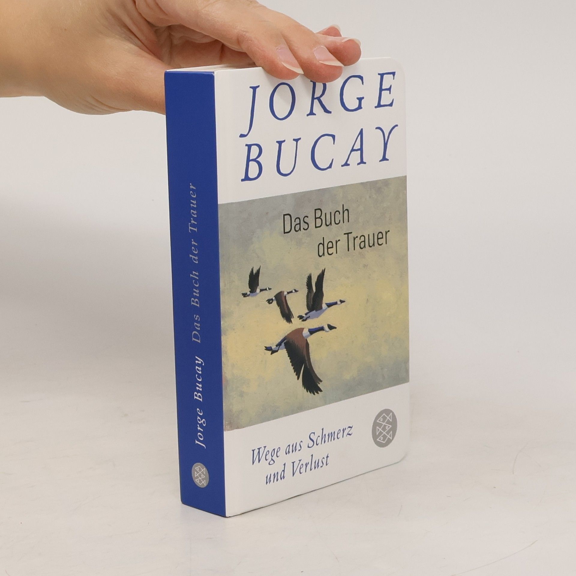 Jorge Bucay Das Buch der Trauer
