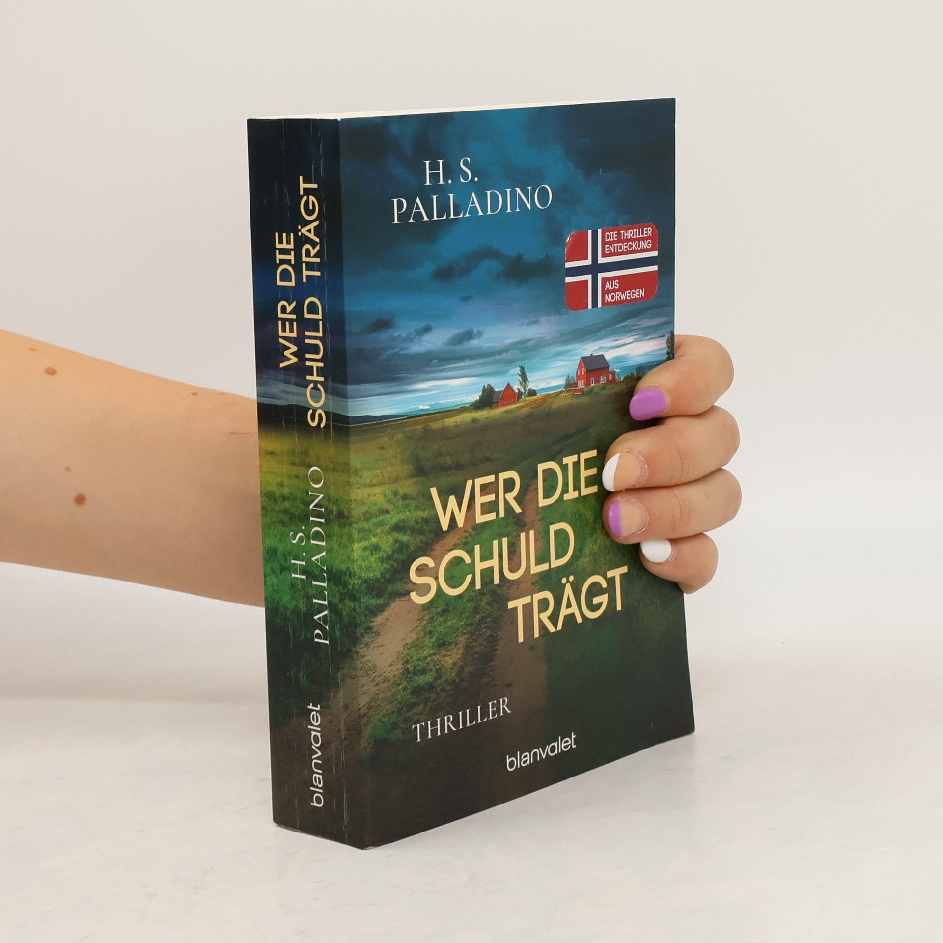 H.S. Palladino Wer die Schuld trägt