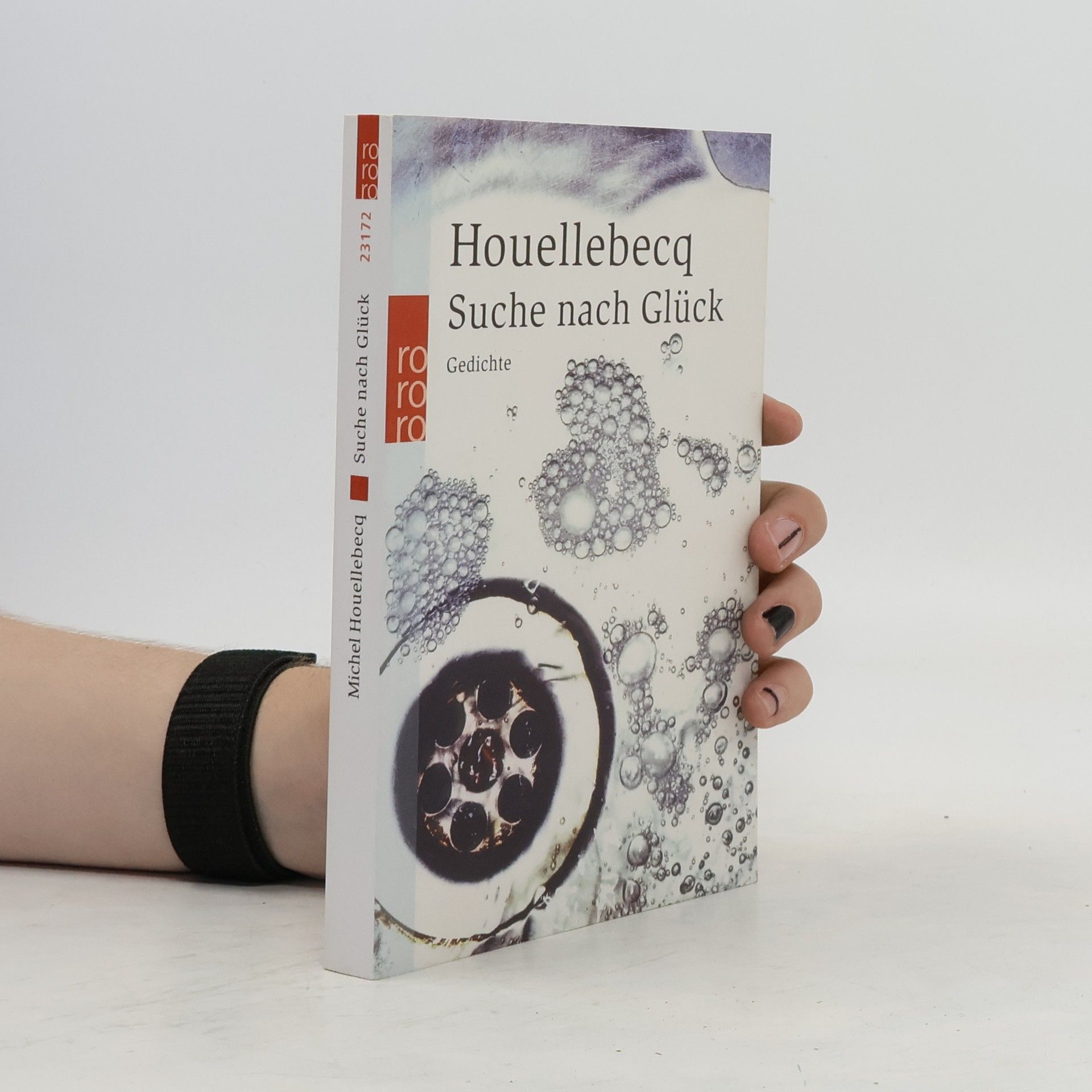 Michel Houellebecq Suche nach Glück