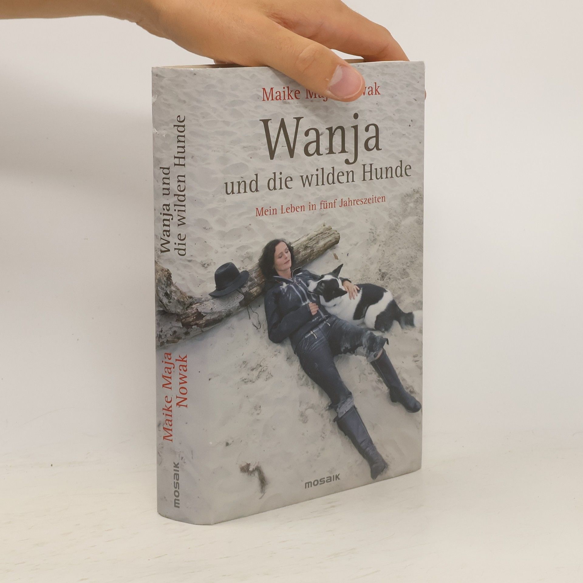 Maike Maja Nowak Wanja und die wilden Hunde