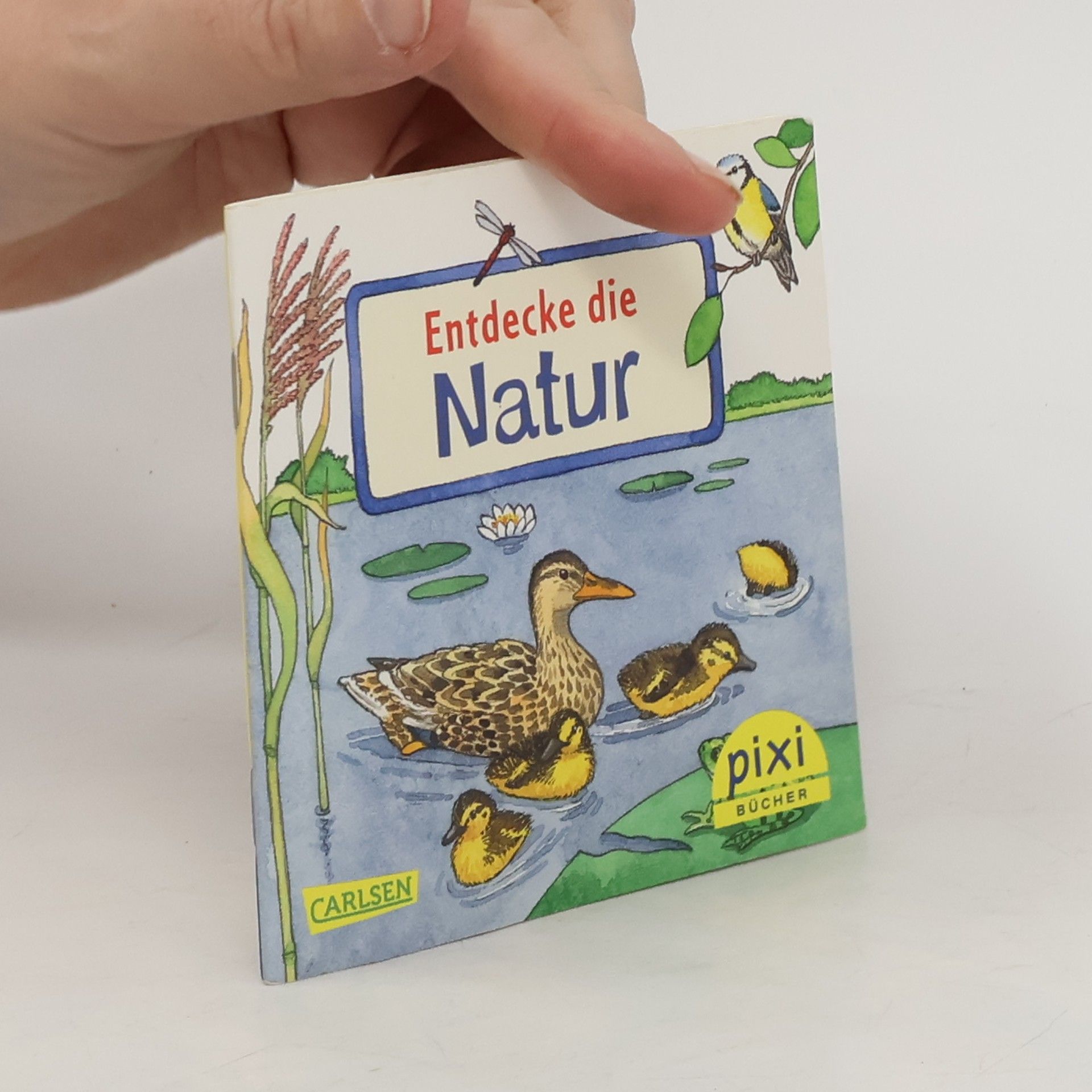 Collectif d'auteurs Entdecke die Natur