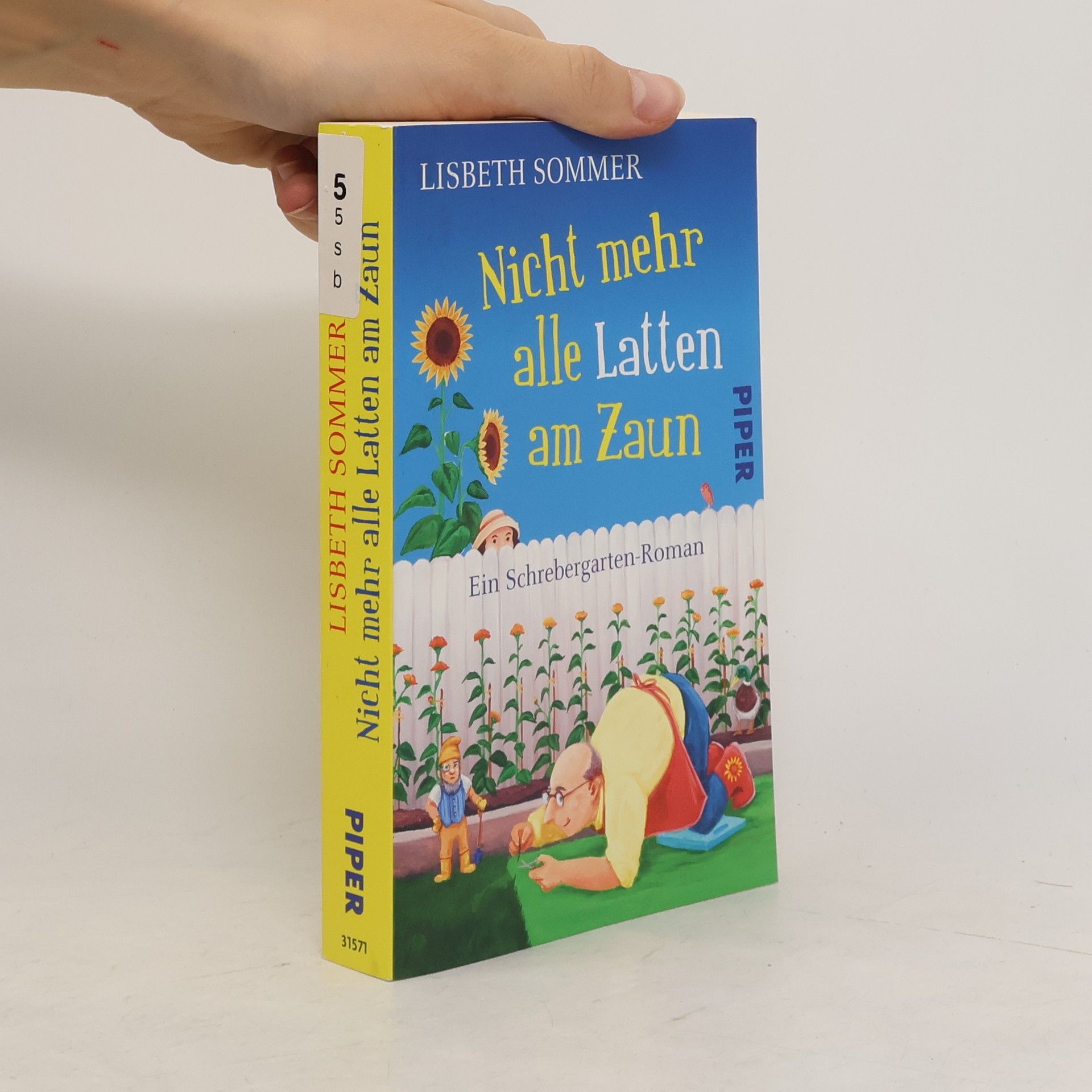 Lisbeth Sommer Nicht mehr alle Latten am Zaun