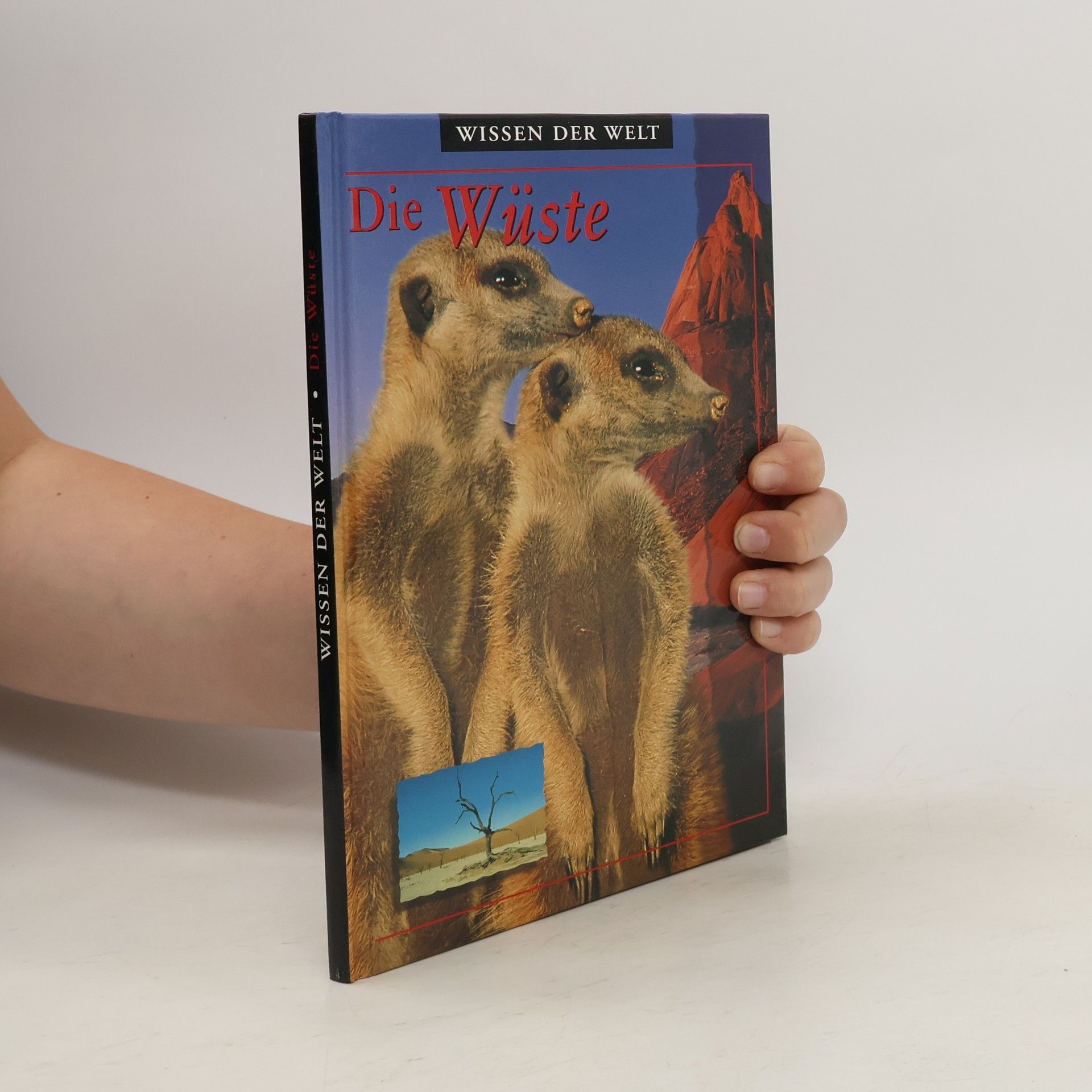 Paul Bennett Die Wüste