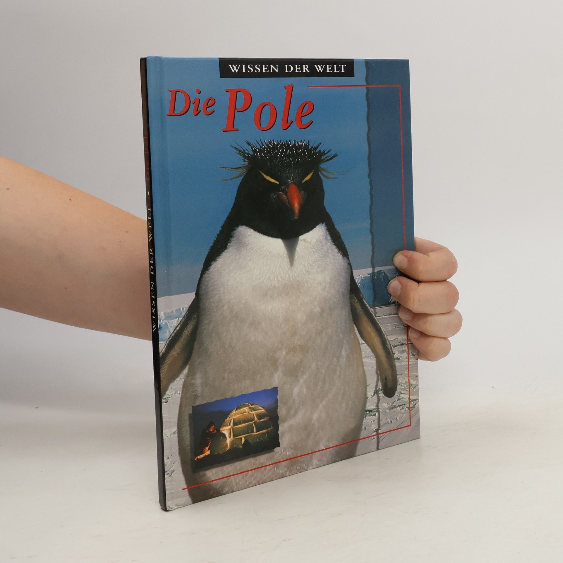 AA.VV. Die Pole