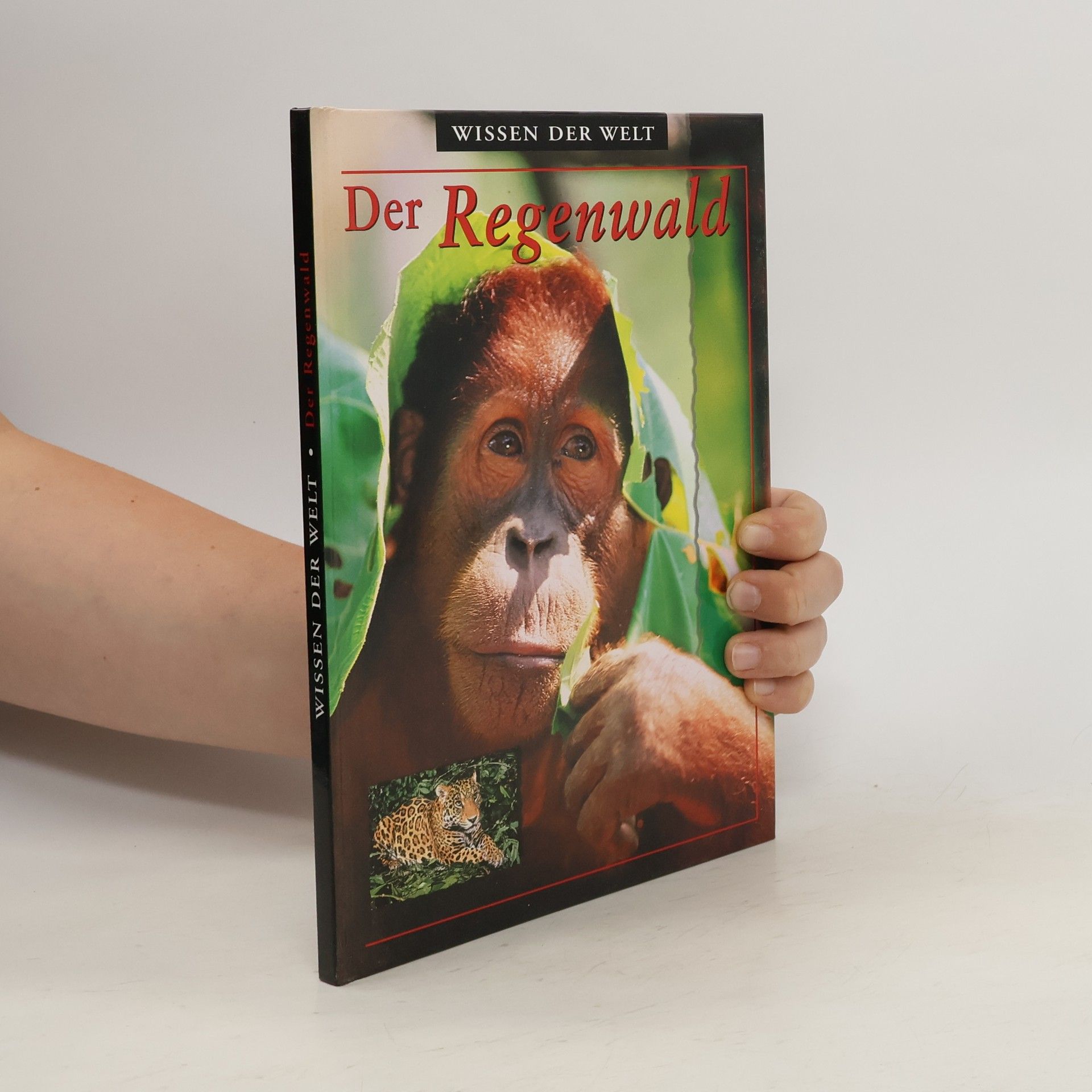 AA.VV. Der Regenwald