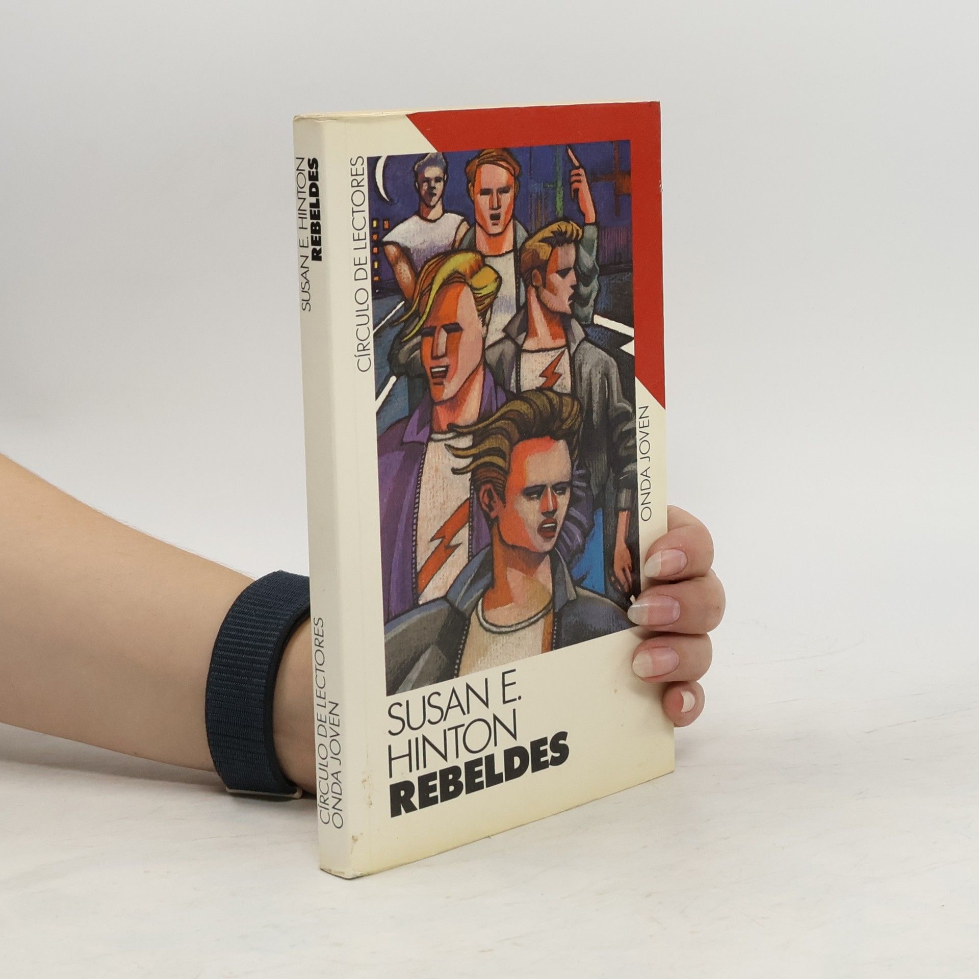 Susan E. Hinton Rebeldes