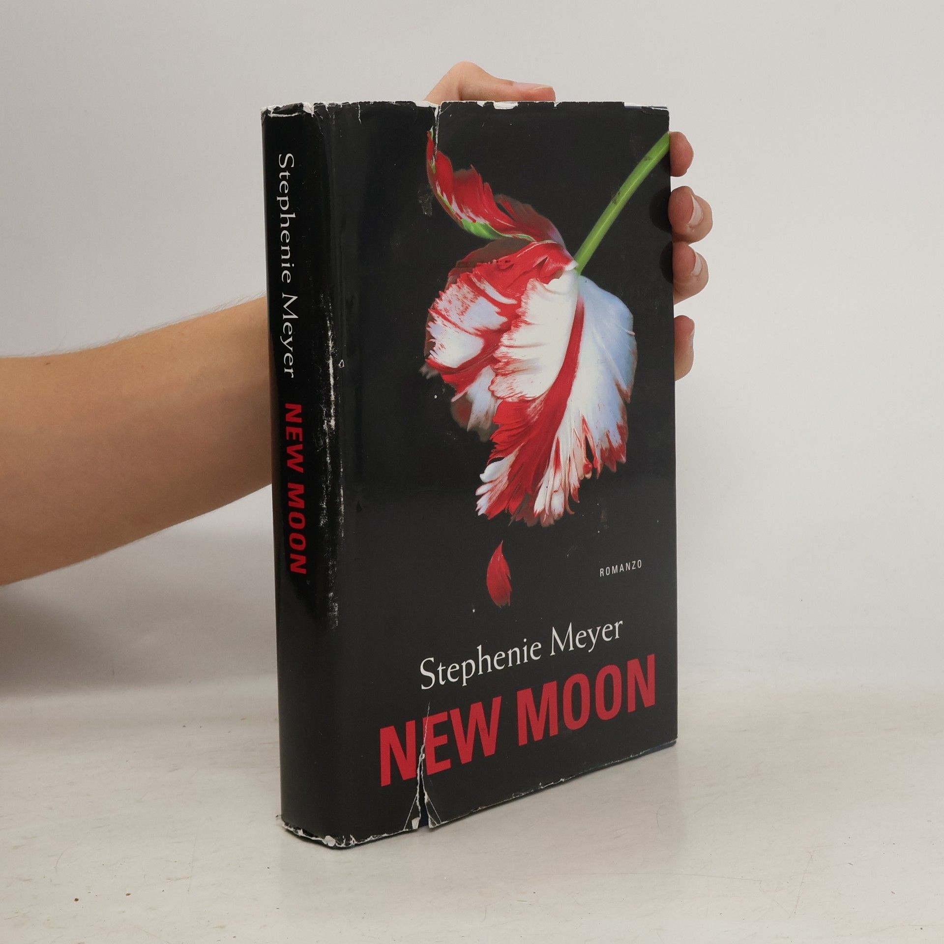 Stephanie Meyers New Moon