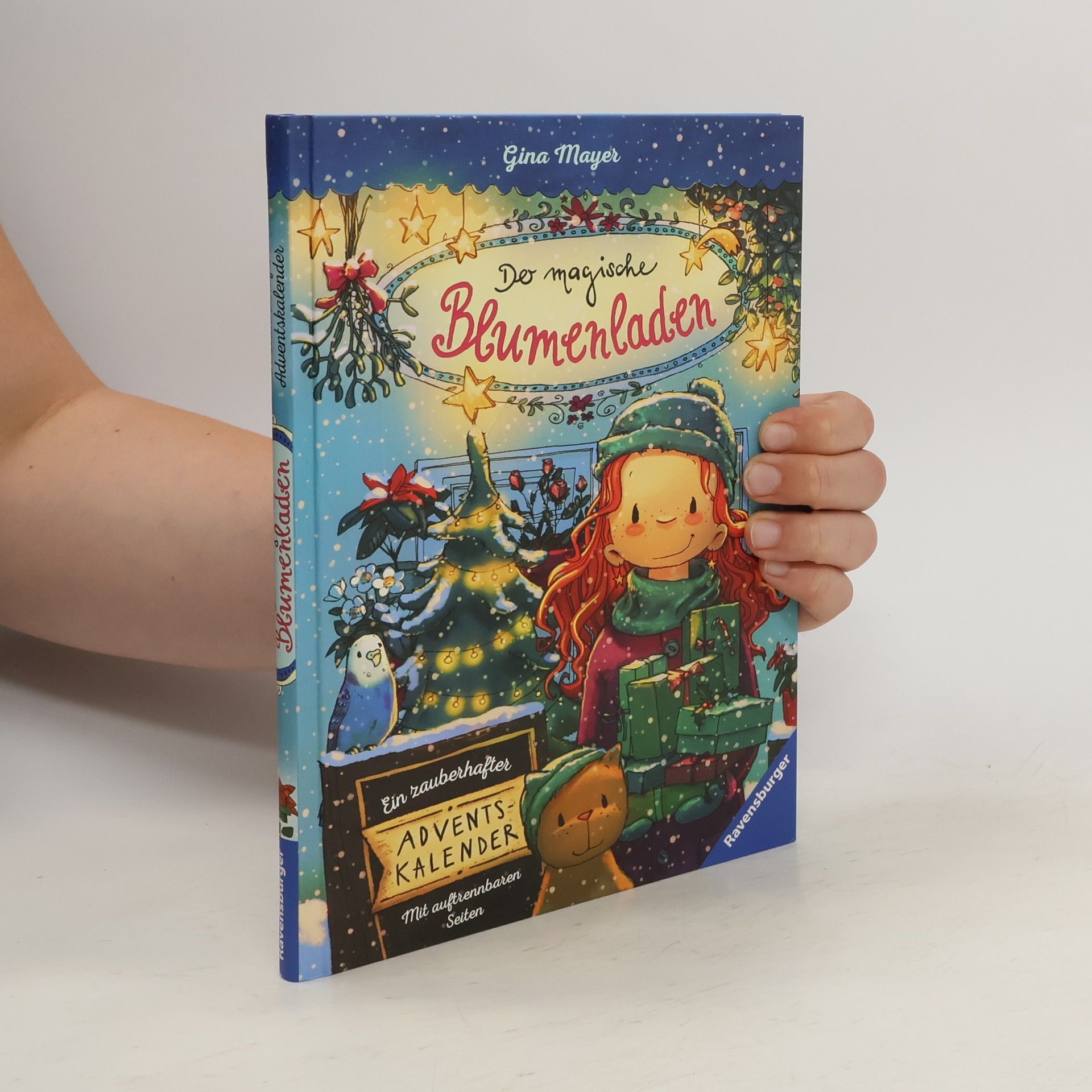 Gina Mayer Der magische Blumenladen - ein zauberhafter Adventskalender