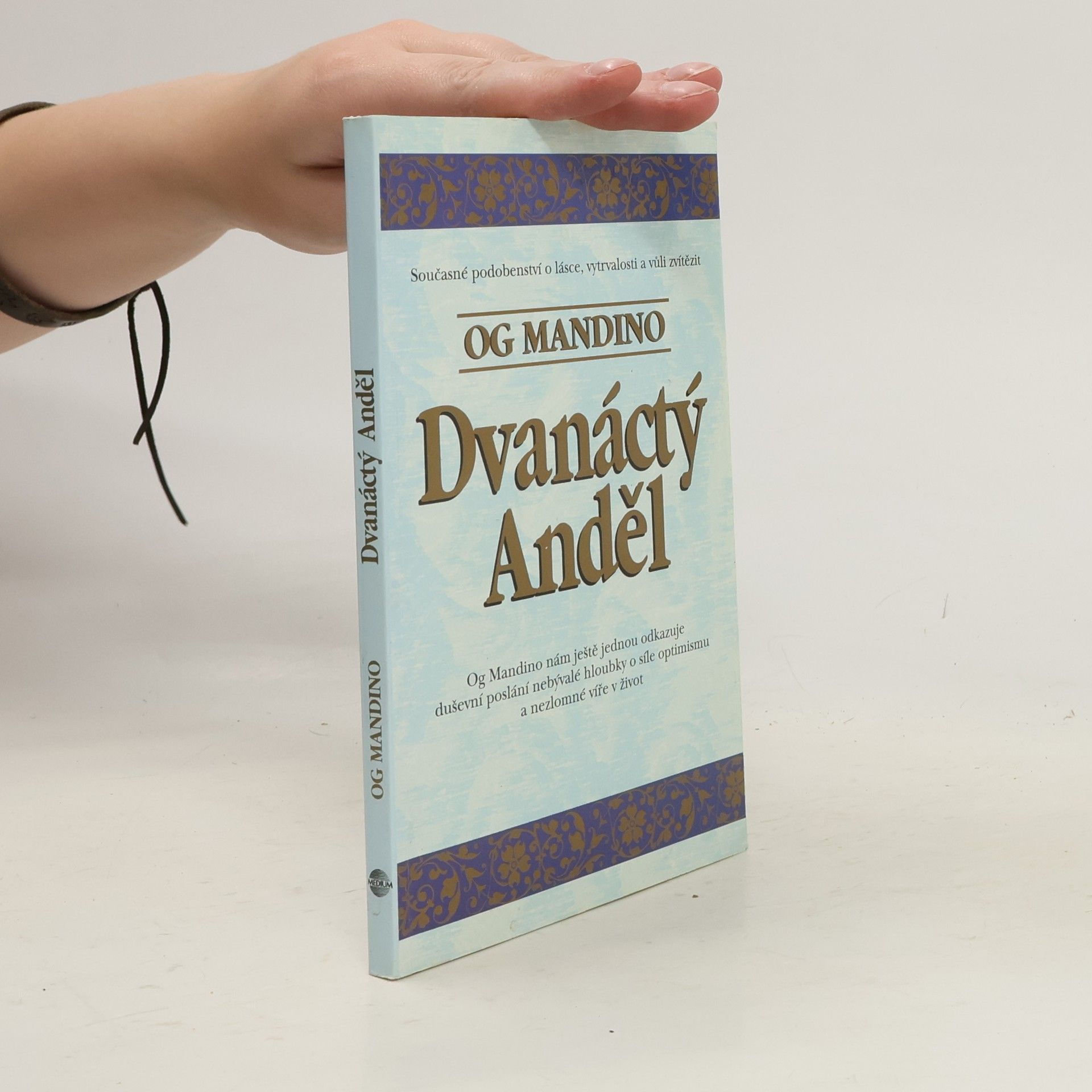 Drahomíra Hajtmarová Dvanáctý anděl