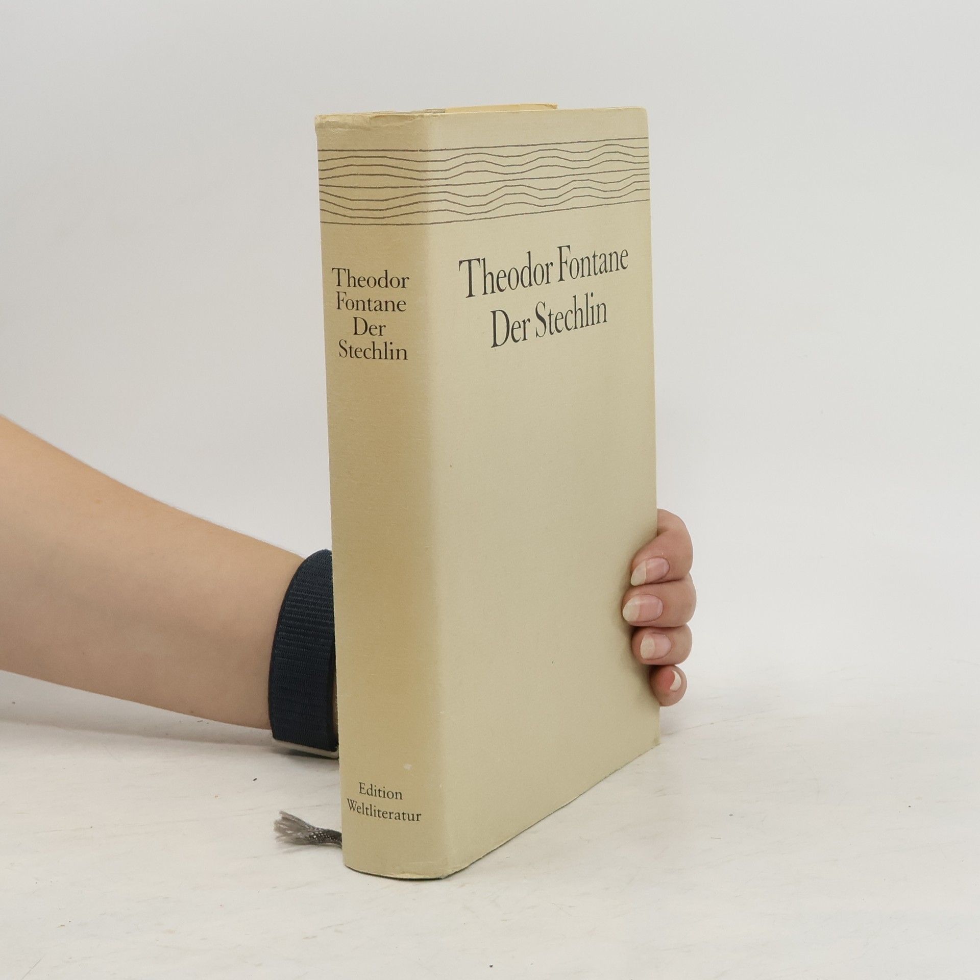 Theodor Fontane Der Stechlin