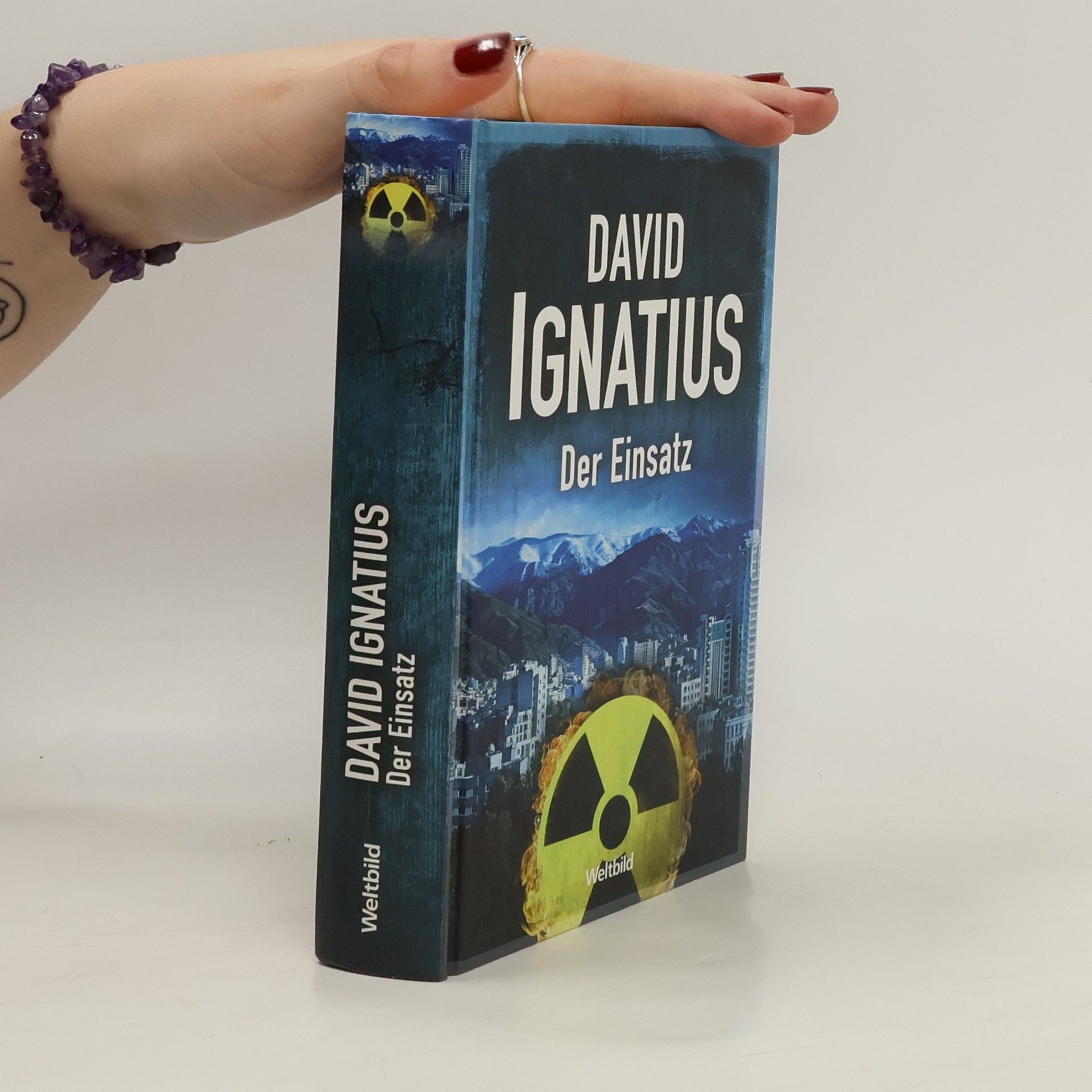 David Ignatius Der Einsatz