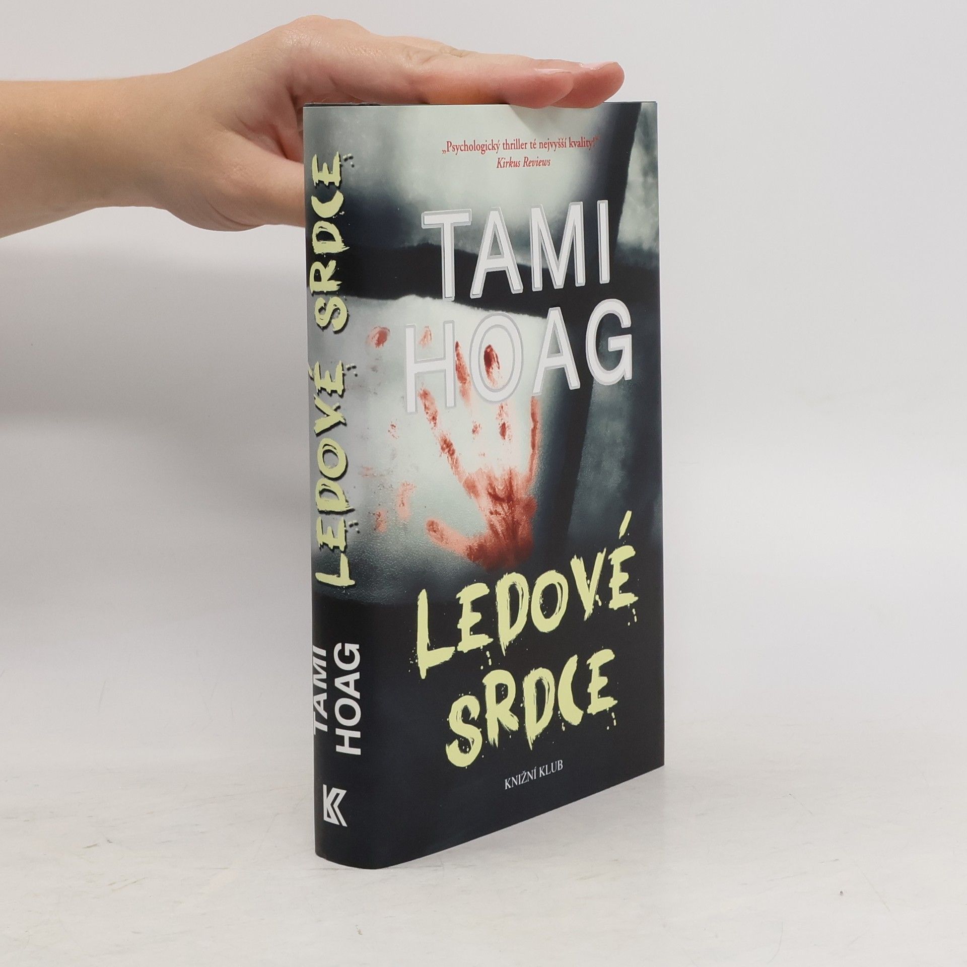 Tami Hoag Ledové srdce