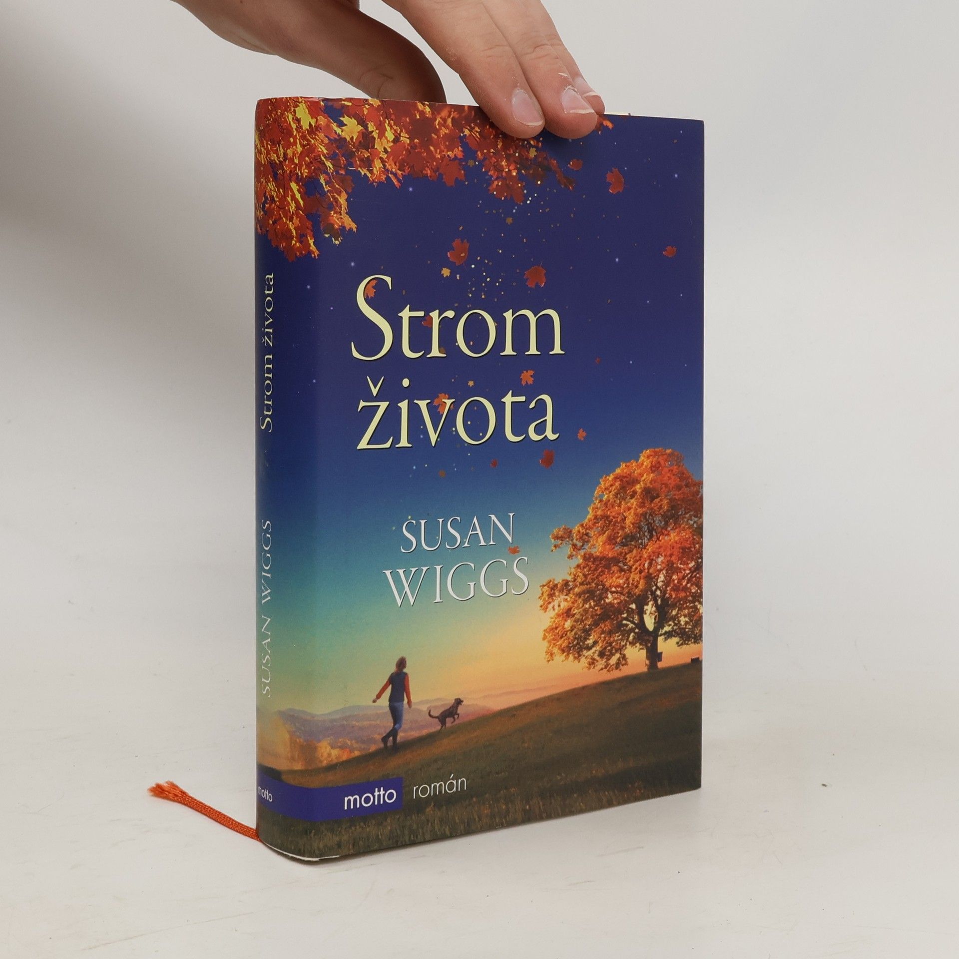 Susan Wiggs Strom života