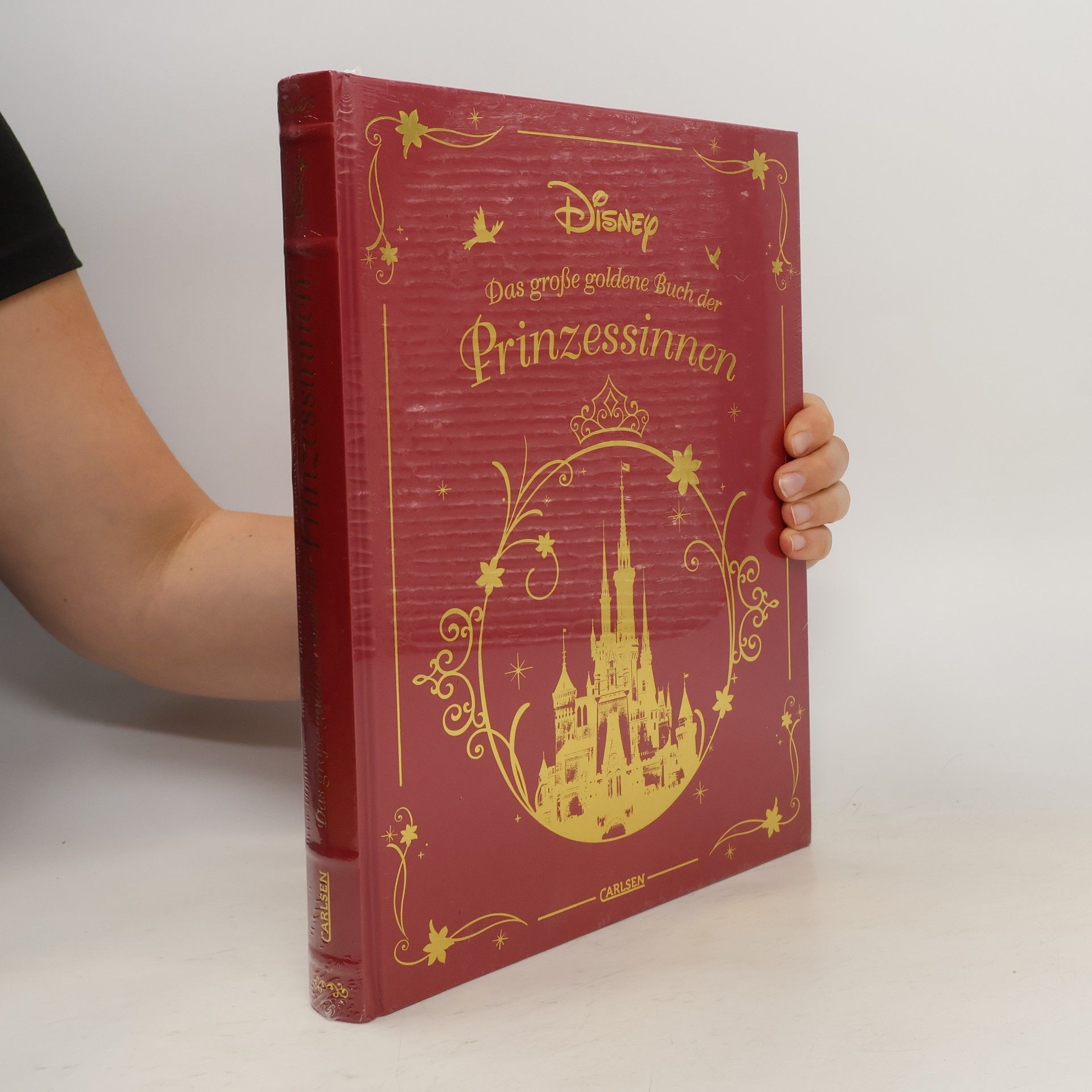 Autorenkollektiv Das große goldene Buch der Prinzessinnen