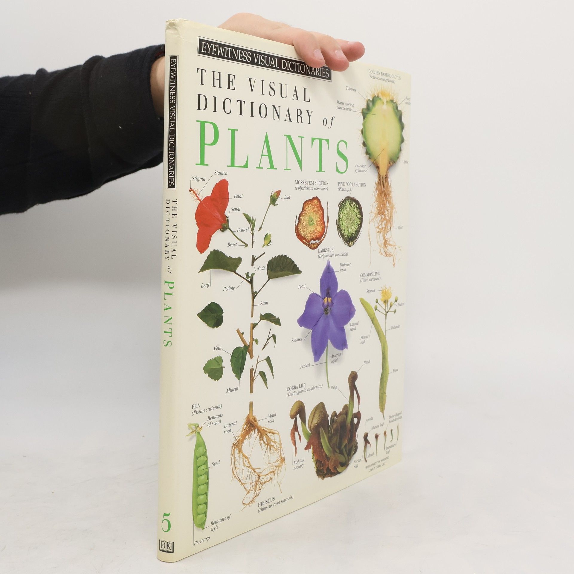 Collectif d'auteurs The Visual Dictionary of Plants