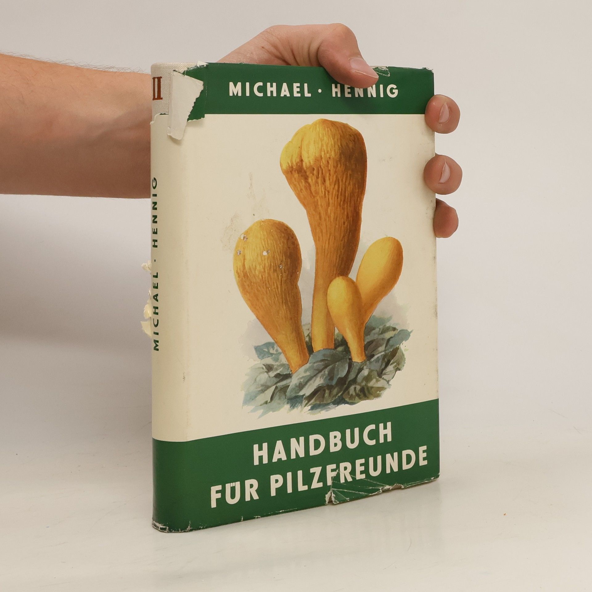 Edmund Michael Handbuch für Pilzfreunde II.