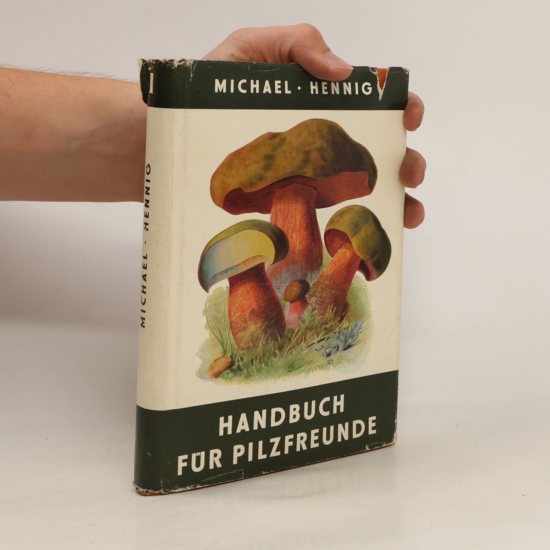 Michael Hennig Handbuch für Pilzfreunde I