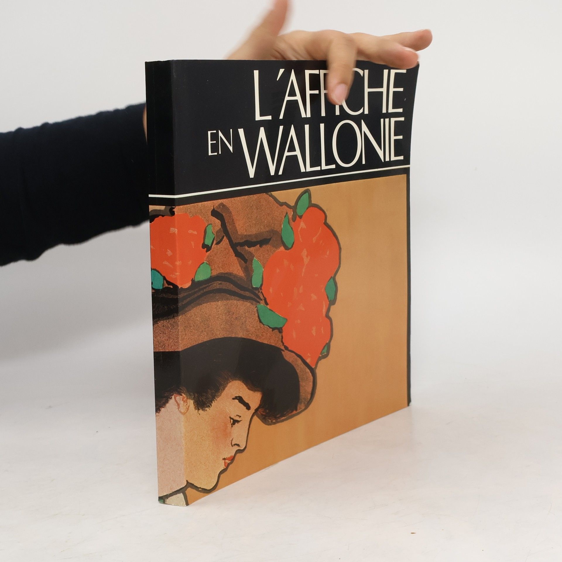 Collectif d'auteurs L'affiche en Wallonie