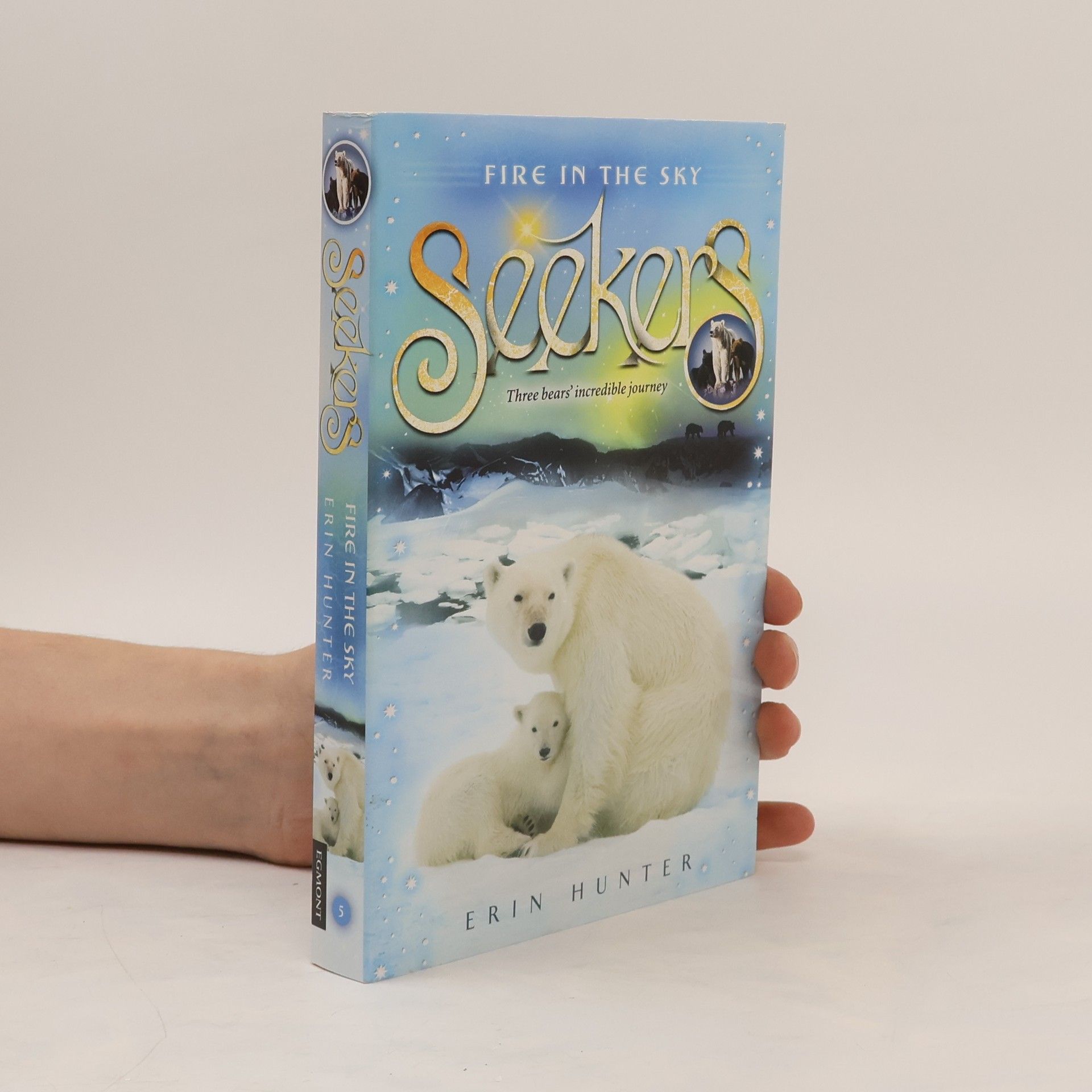 Erin Hunter Fire in the Sky