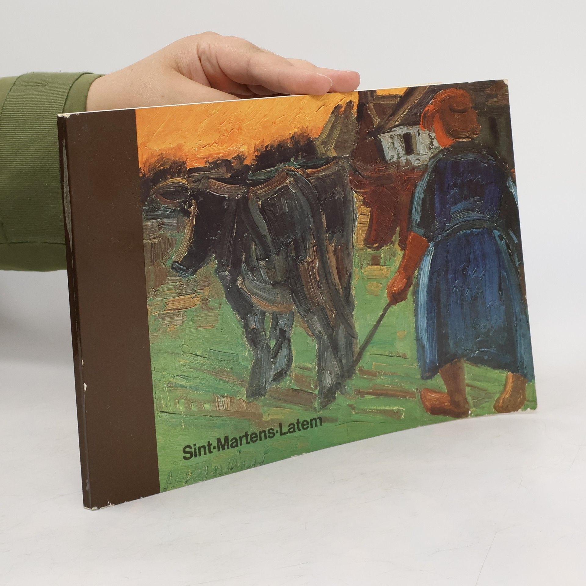 Collectif d'auteurs Sint-Martens-Latem