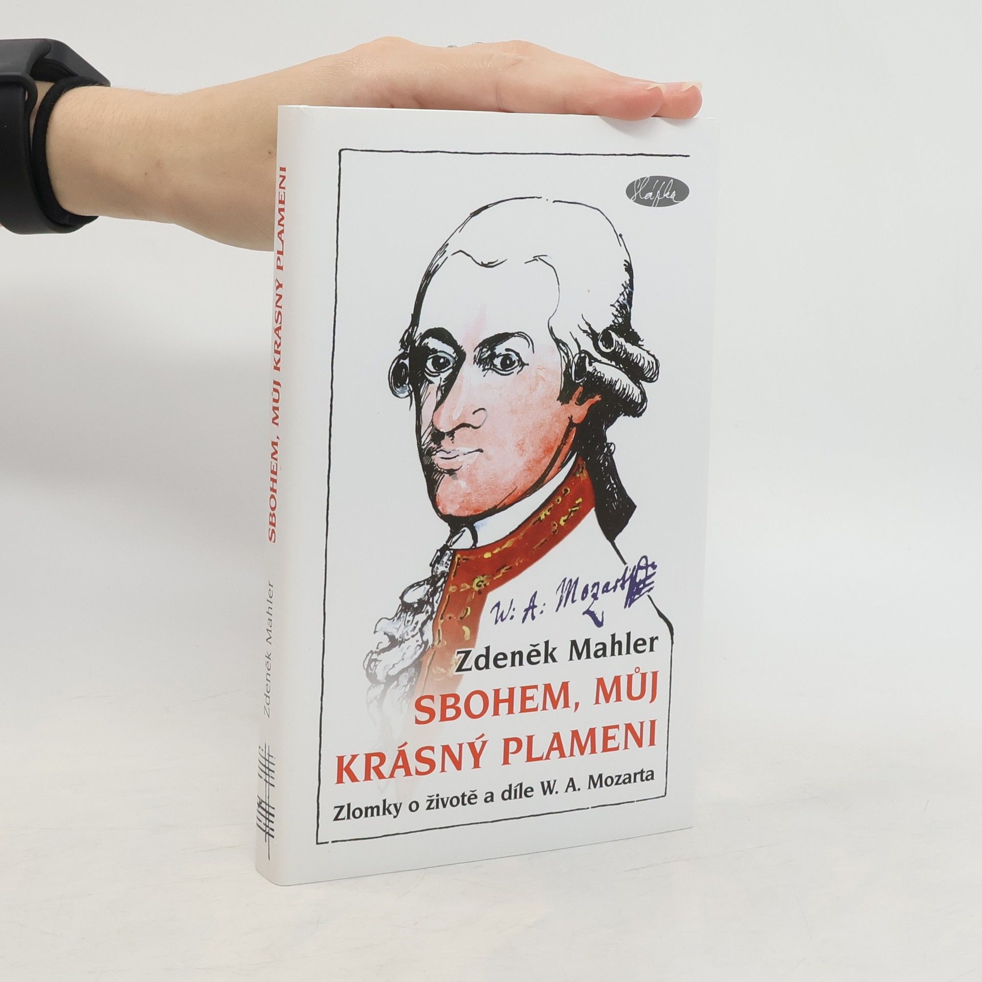 Zdeněk Mahler Sbohem, můj krásný plameni