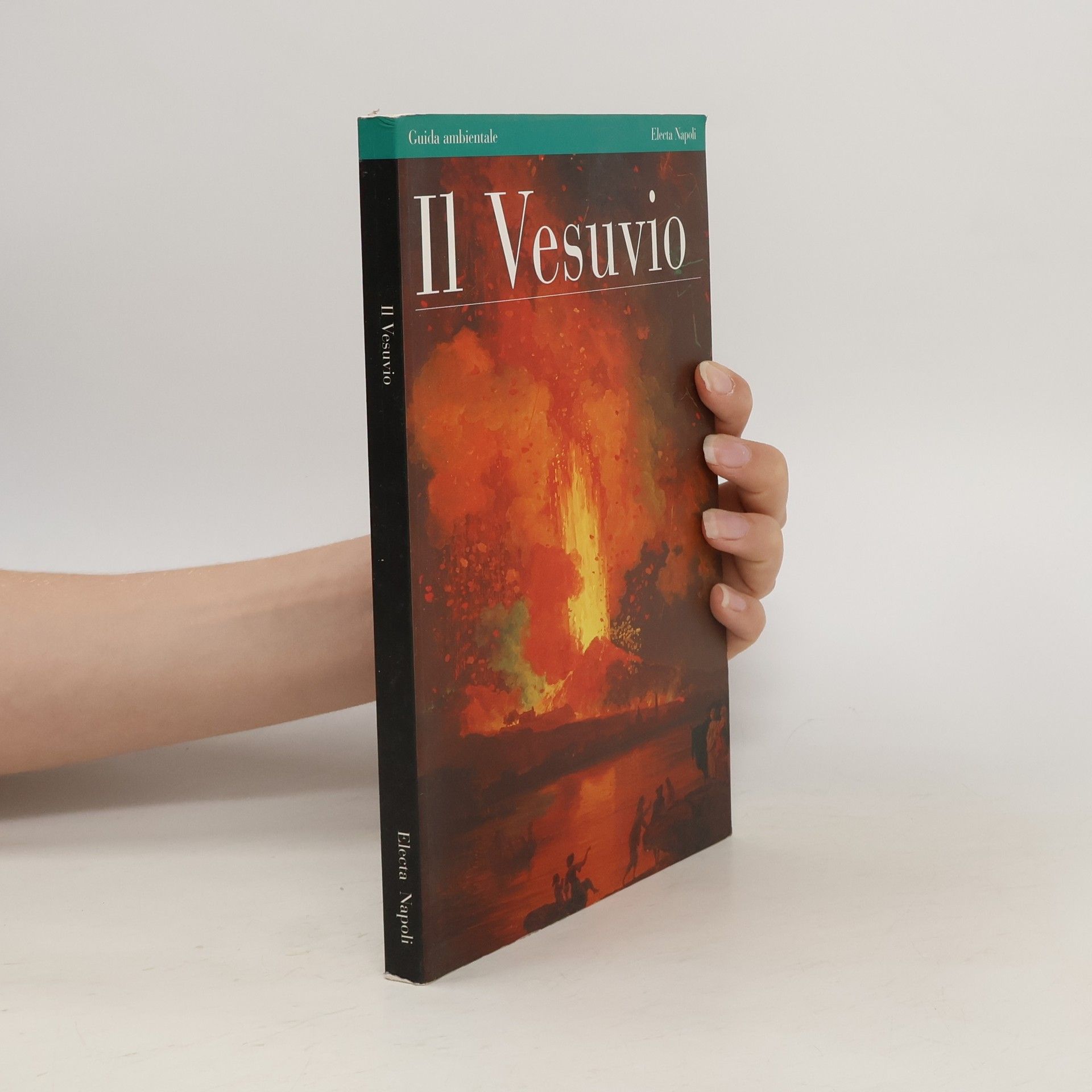 Ettore Di Caterina Il Vesuvio