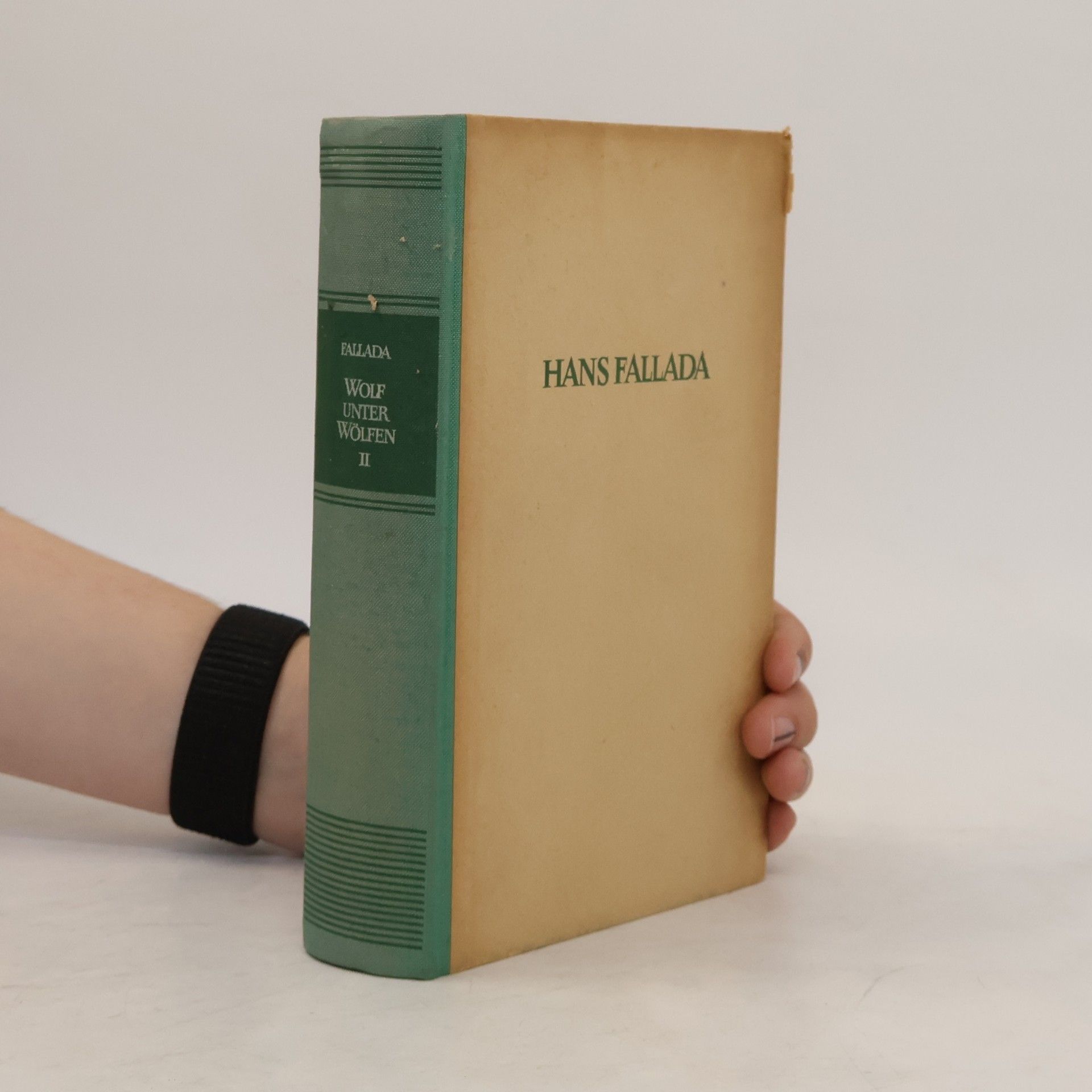 Hans Fallada Wolf unter Wölfen 2. Das Land in Brand