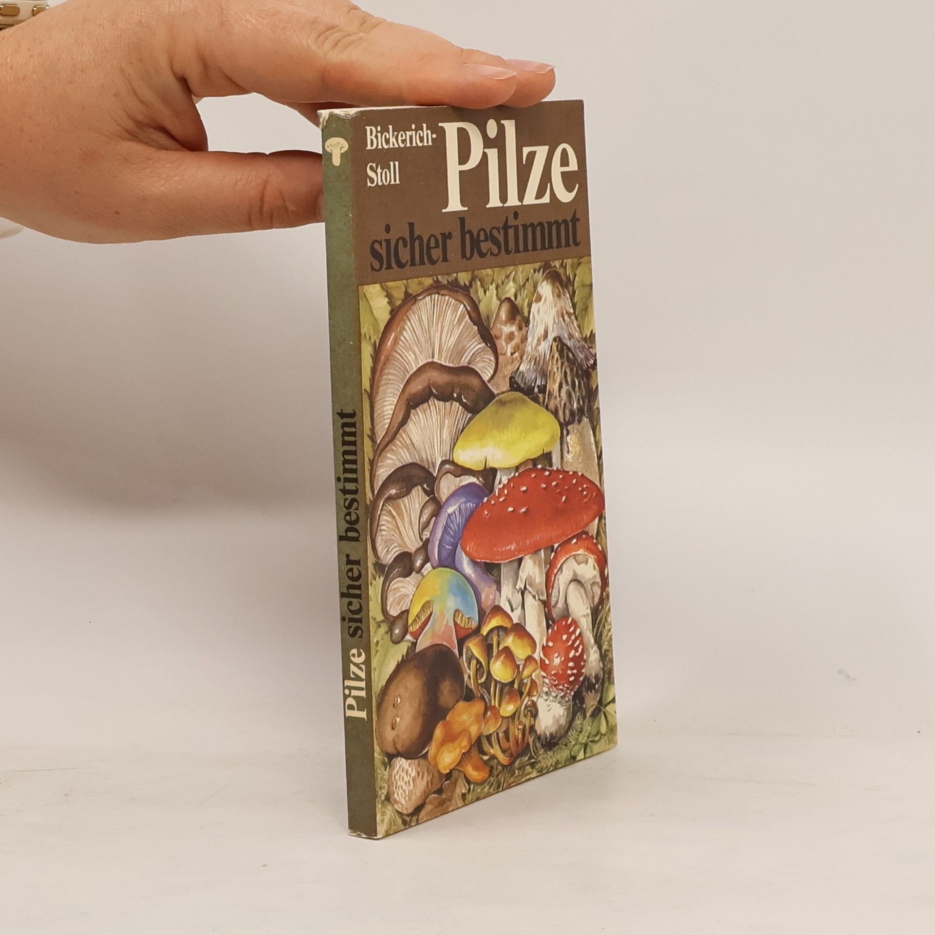 Katharina Bickerich Stoll Pilze sicher bestimmt