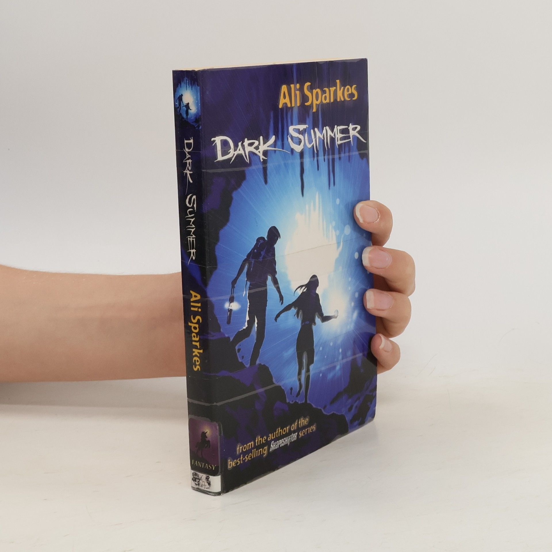 Ali Sparkes Dark Summer