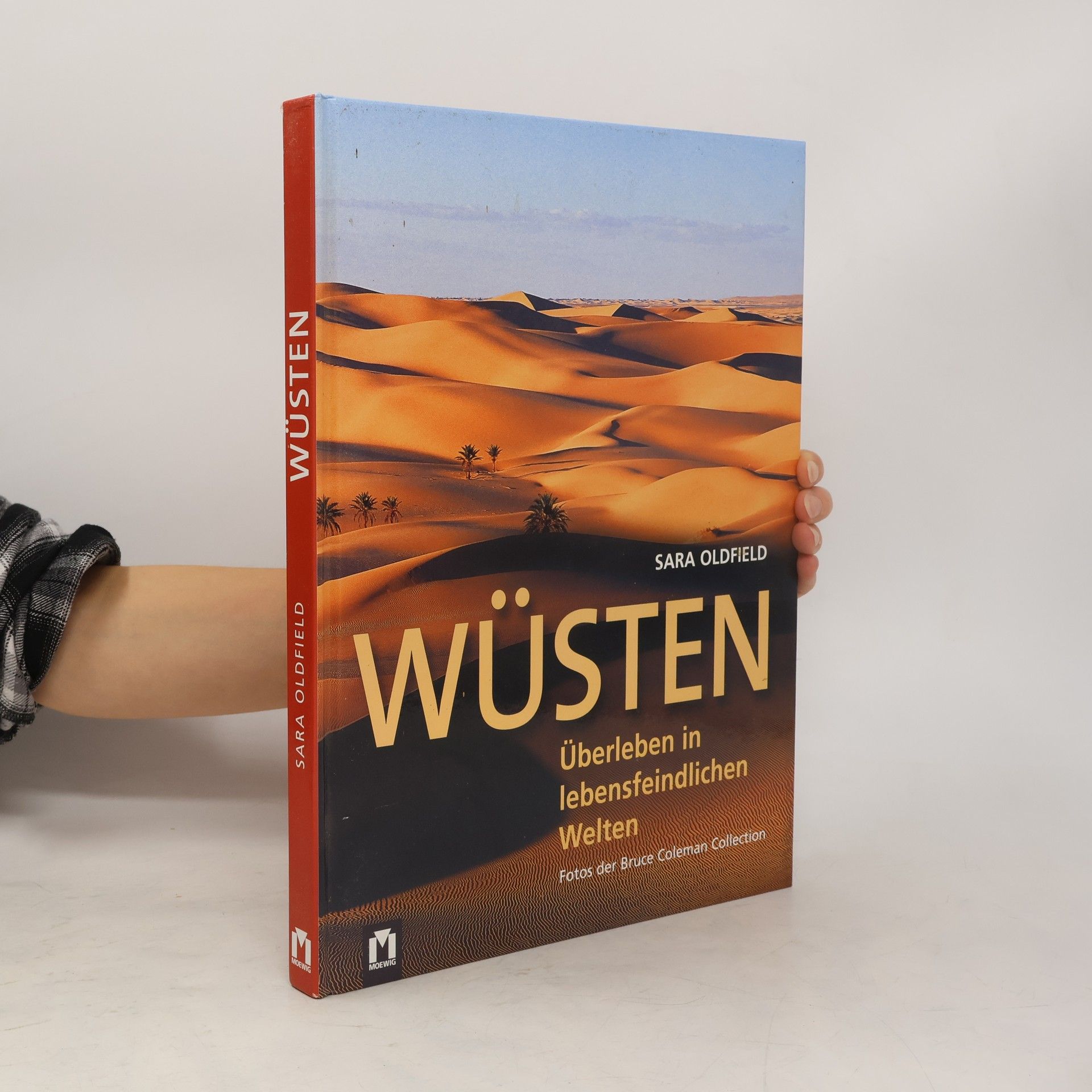 Rodolfo Grassi Yorkshire-Terrier