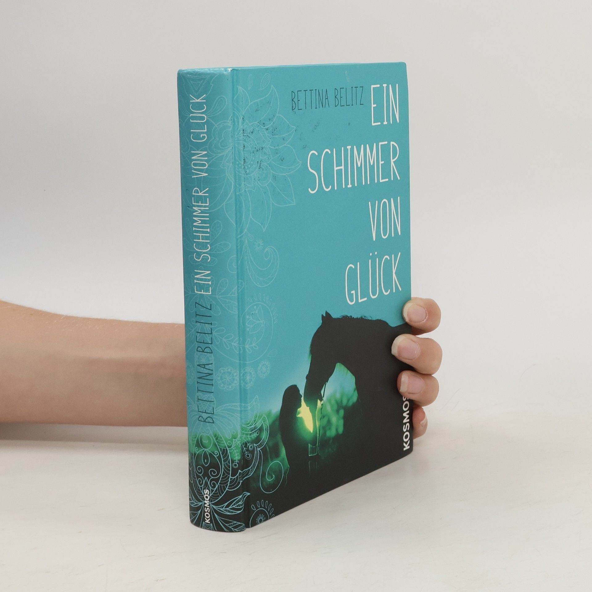 Bettina Belitz Ein Schimmer von Glück