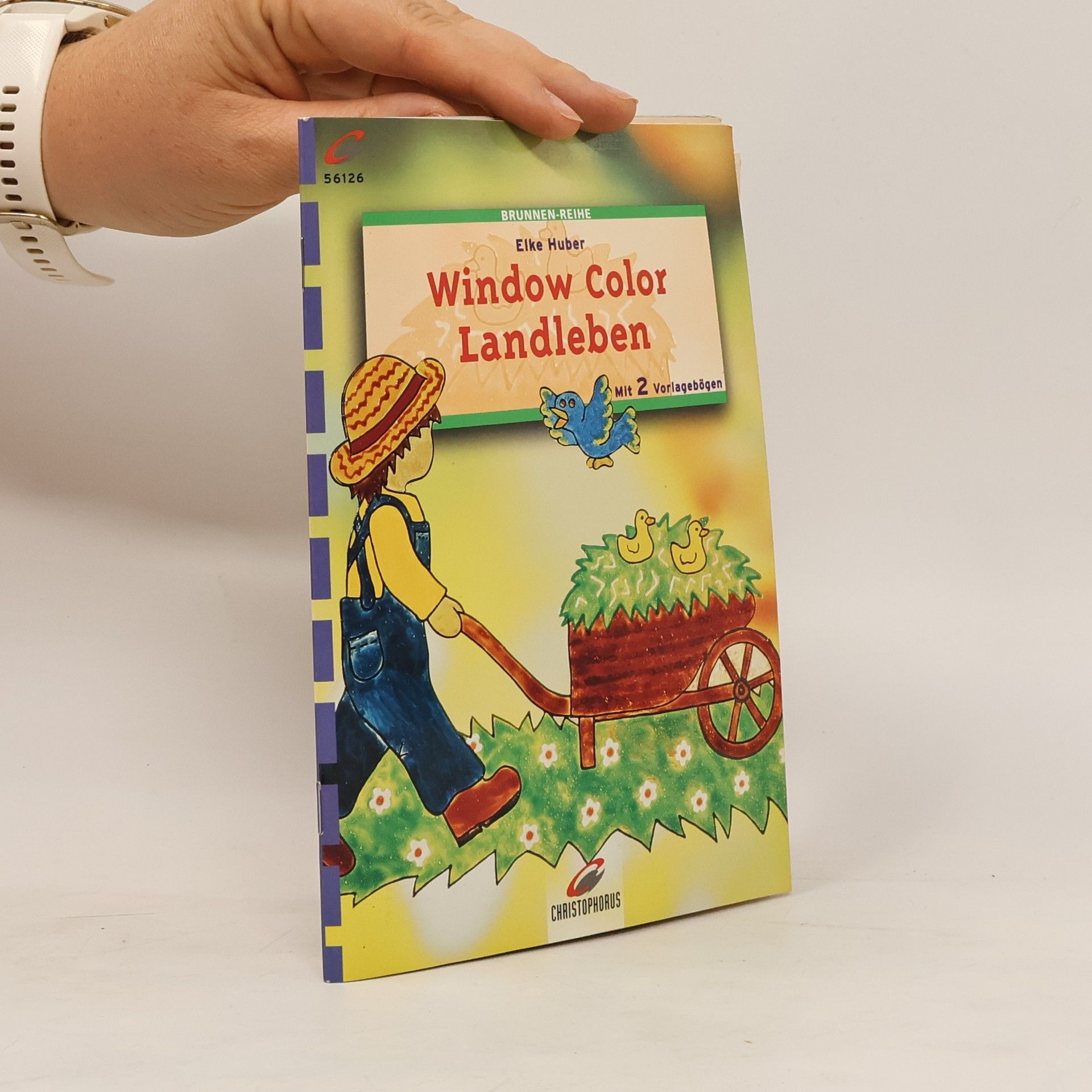 Collectif d'auteurs Window Color - Landleben