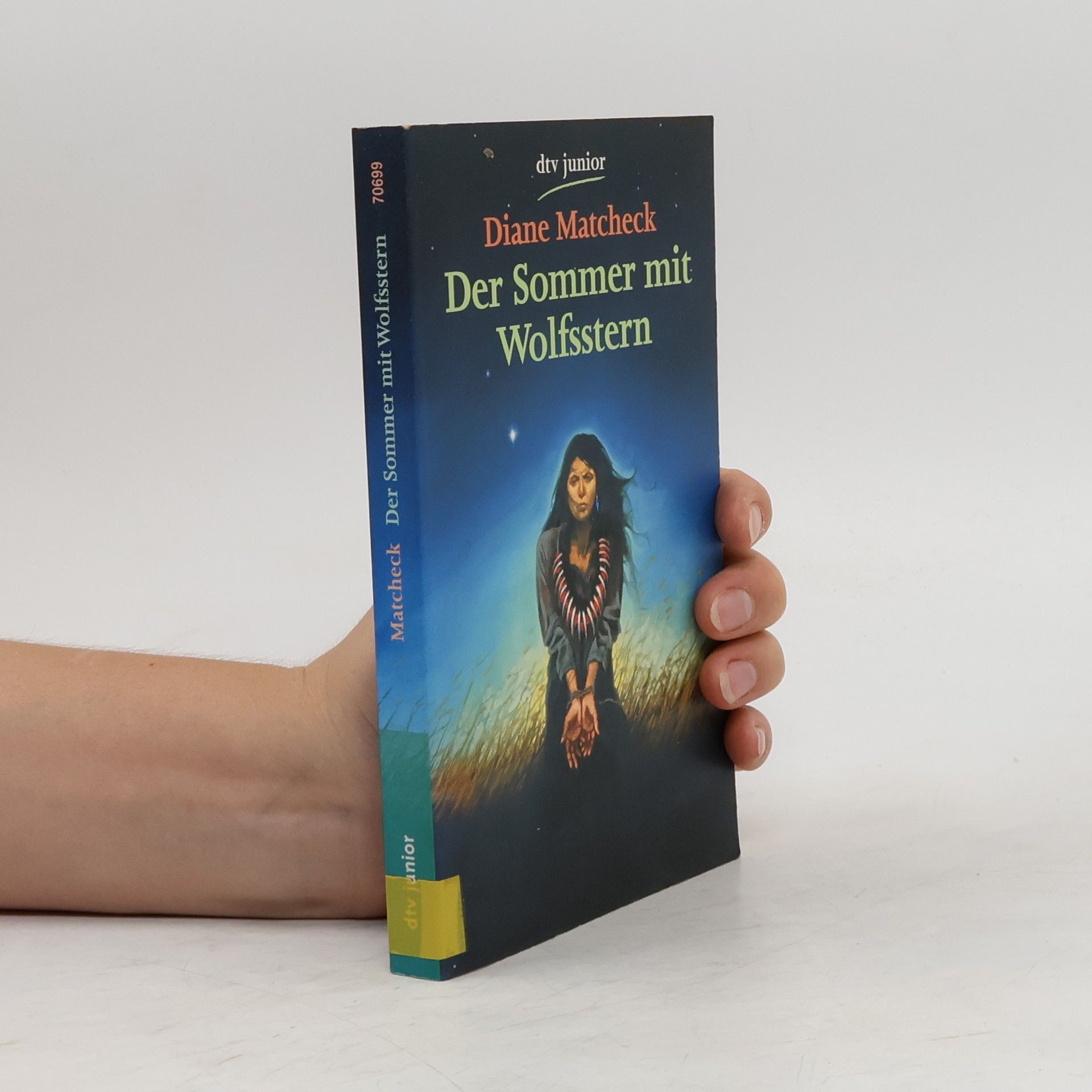 Diane Matcheck Der Sommer mit Wolfsstern